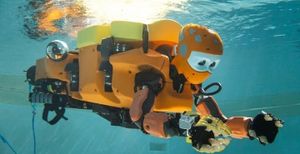 Bringing Human Touch and Vision to the Depths of the Sea