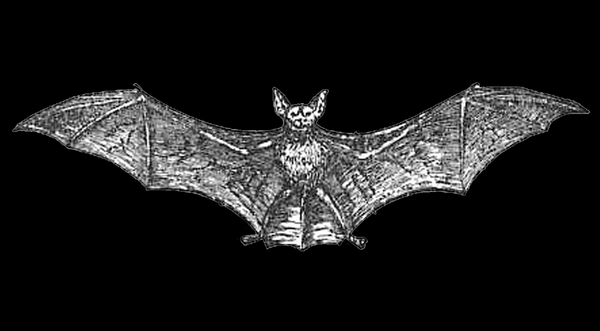 Deathbed: An Introduction