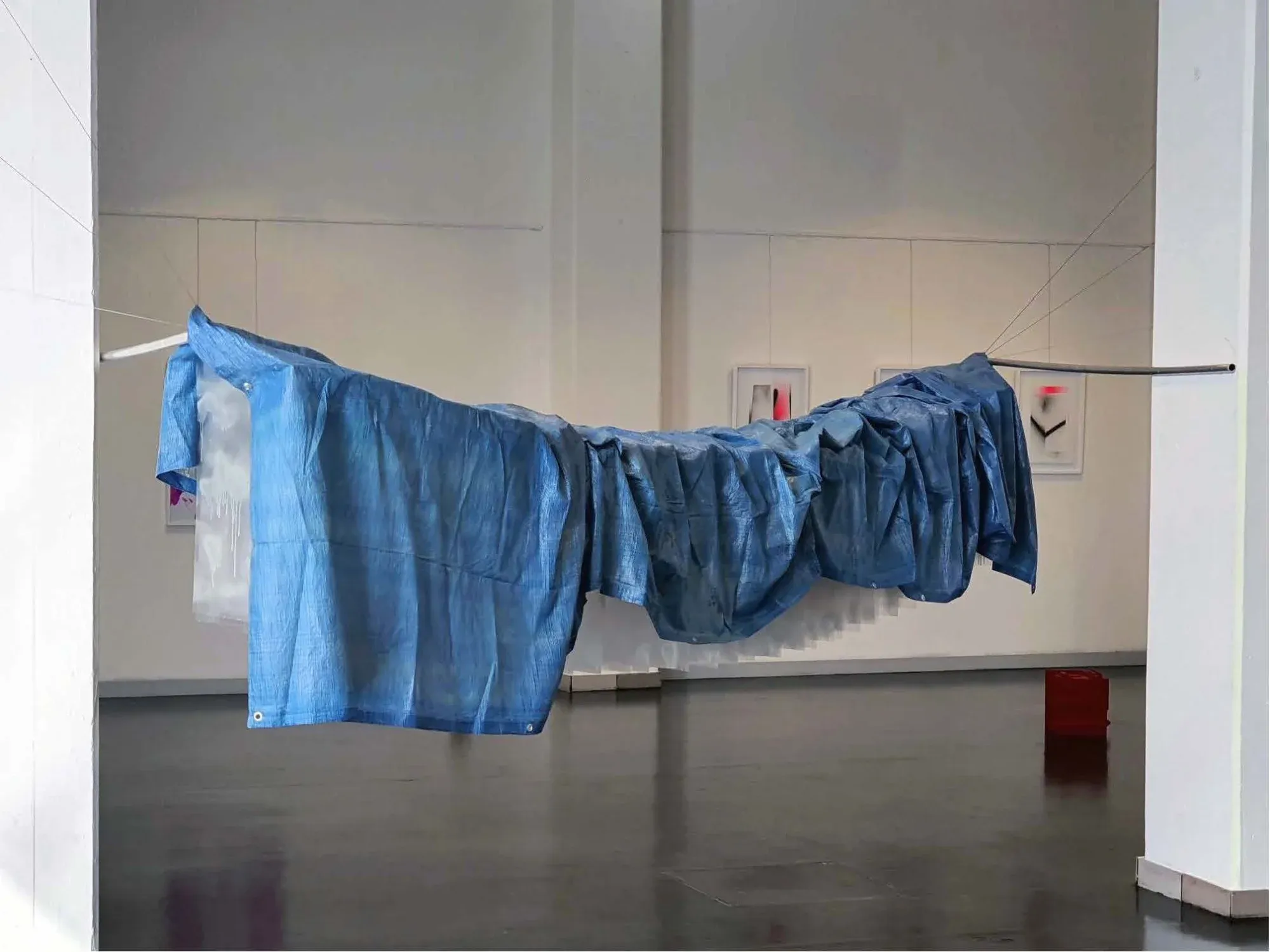 installation art now 2024, anton adamer