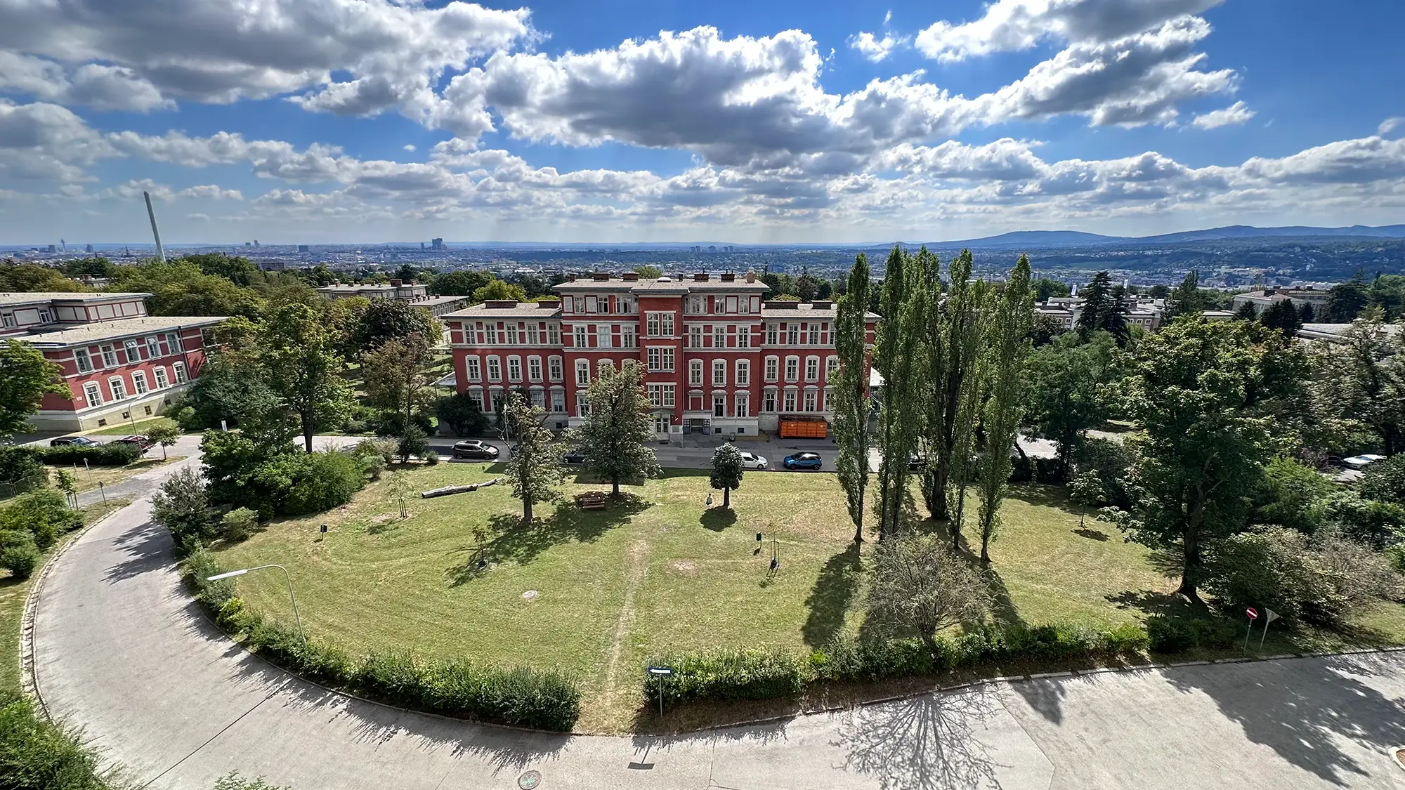 parallel vienna, 2024, fall winter event you don´t miss the chance to see this art fair life 