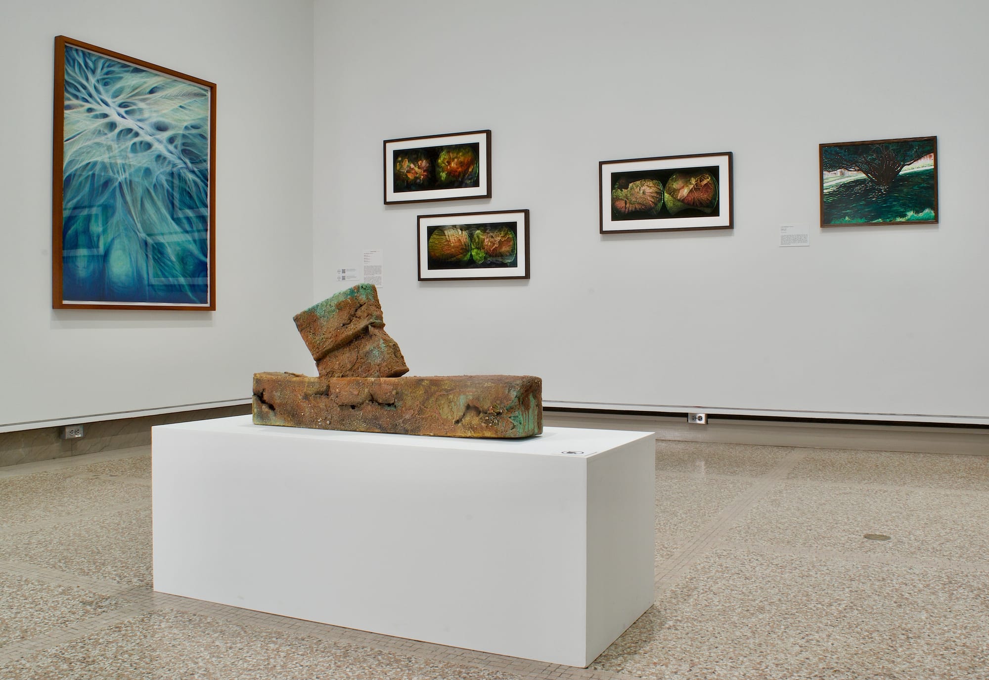 long island biennale