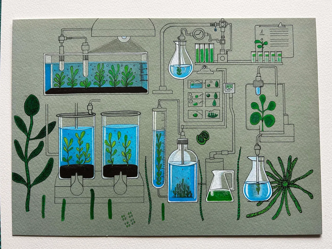 rica fuentes martinez, modular mix x, pigment print and mixed media editions, laboratory ecosystem drawing with plants in vessels, vienna 2024