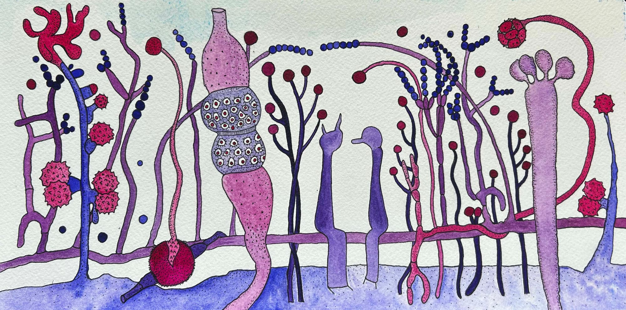 rica fuentes martinez, modular mix series no 4, watercolor and ink on cotton paper, microscopic forest inspired abstract drawing, 2024