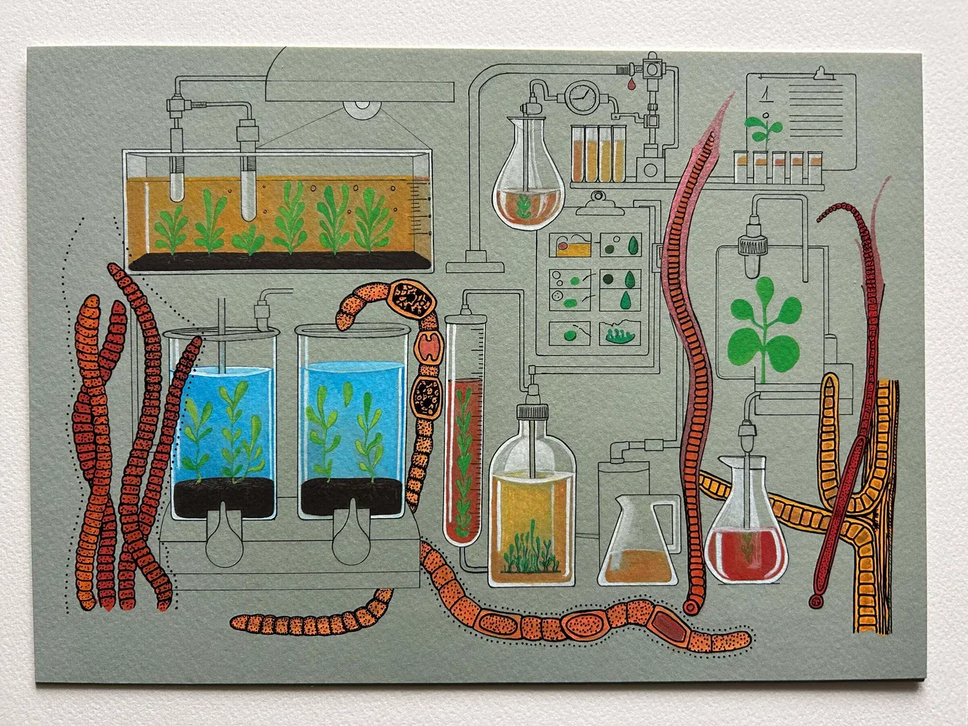 rica fuentes martinez, modular mix x edition 2 of 2 red, gouache watercolor and ink on handmade paper, laboratory ecosystem with red organic forms, 2024