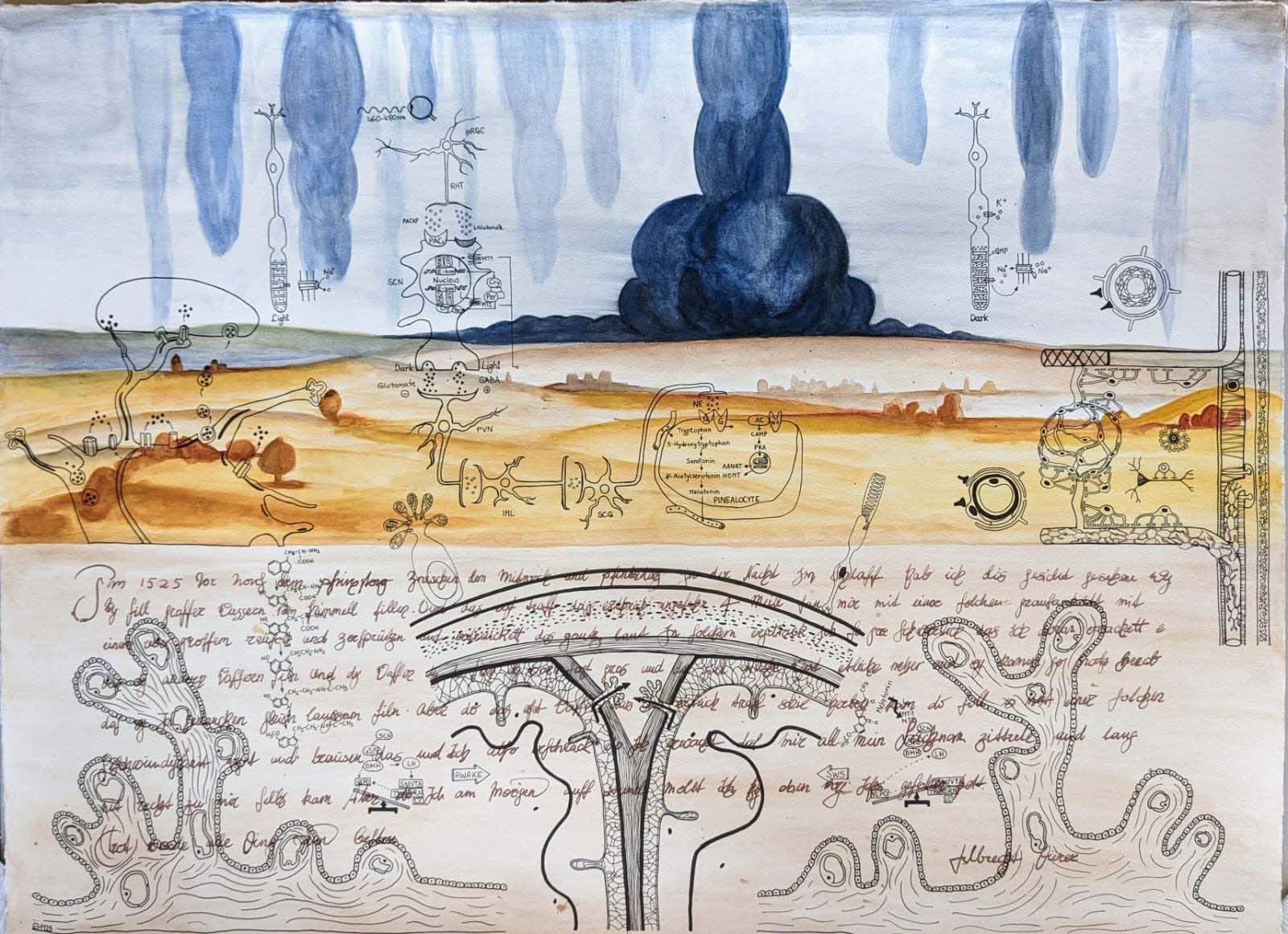 rica fuentes martinez, gehirn iii der traum, watercolor pigmented ink and ink on paper, abstract brain inspired drawing, vienna 2023