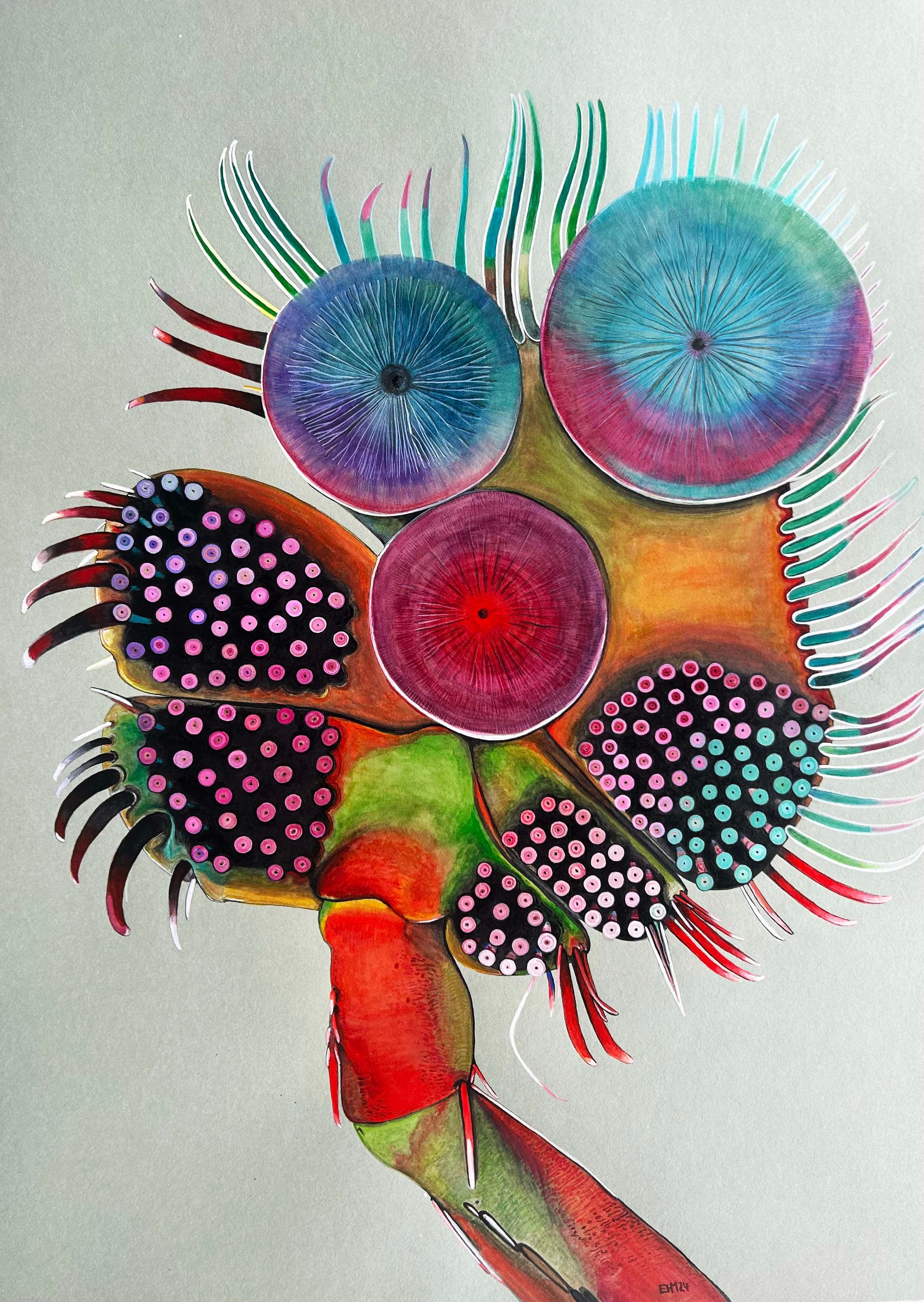 rica fuentes martinez, watercolor on paper, footprint of yellow ground beetle, abstract insect anatomy drawing, vienna 2024