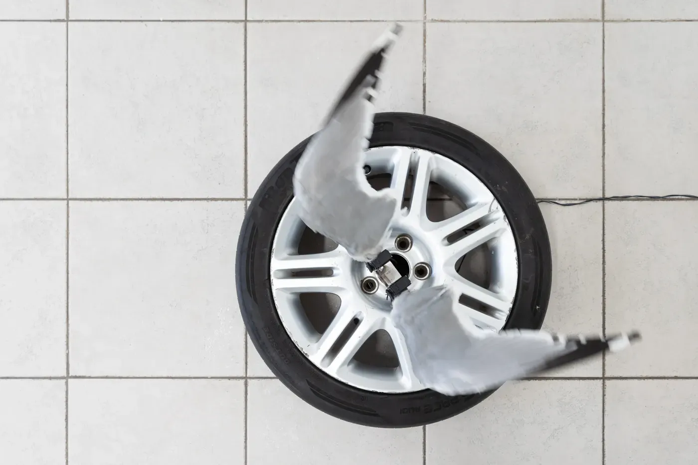 Hanna Antonsson for Dead Dogs Don´t Die , at Slug Leipzig and curated by Colette Patterson Taxidermy and car wheel