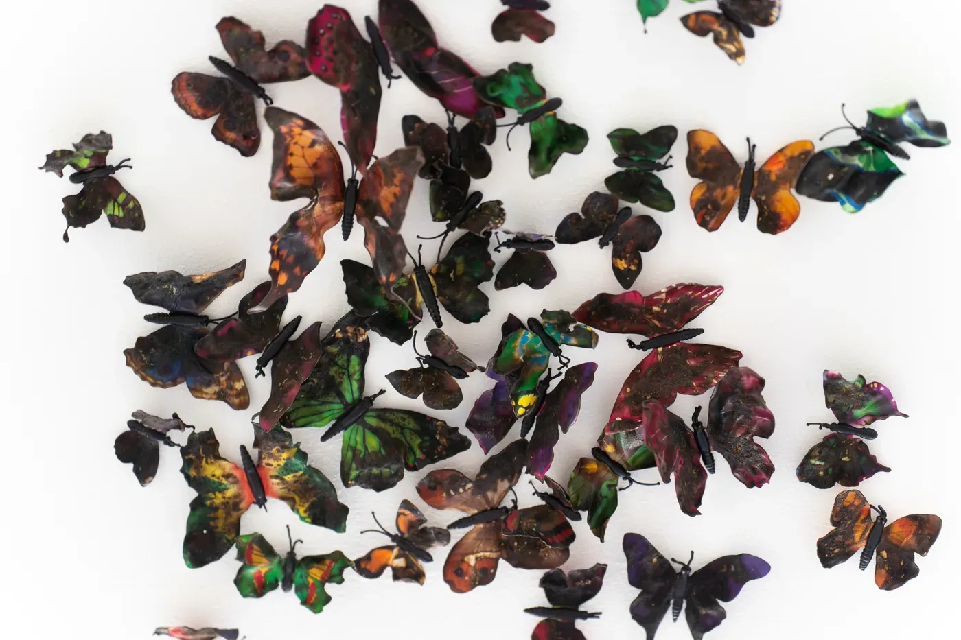 Artist Olivia Rode Hvass In Captivity but No Longer Dead , butterfly installation