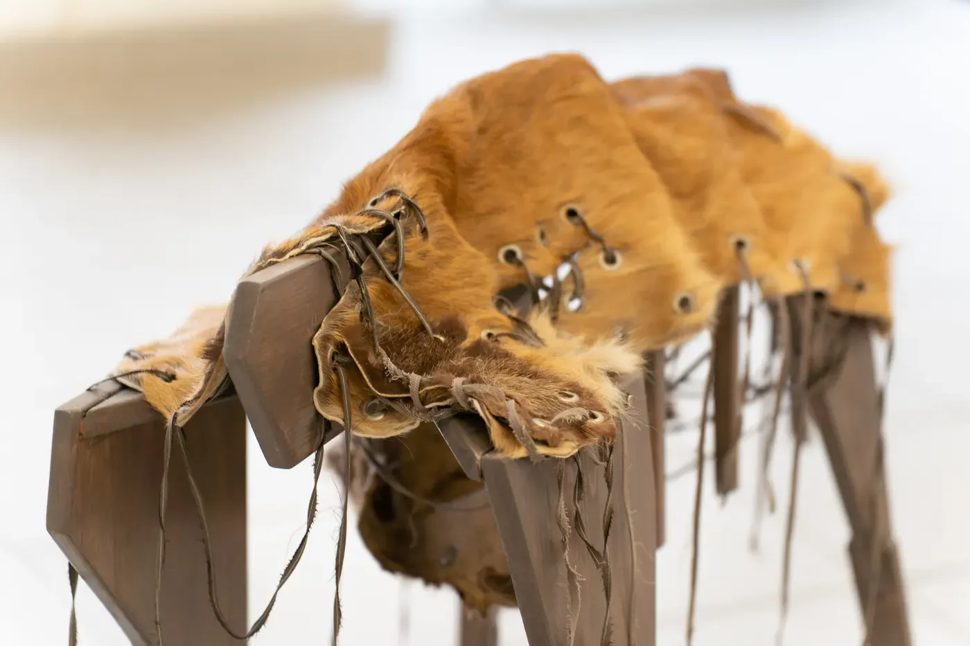 slug gallery for friday dispatch - exhibition review in Leipzig showcase this work by Jan Baszak called My General Ghost