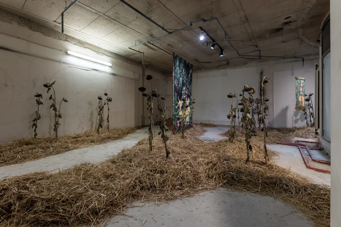 Curated by&nbsp;Çağla Erdemir showcase of Olivia rode hvass at Luxembourg capsules 