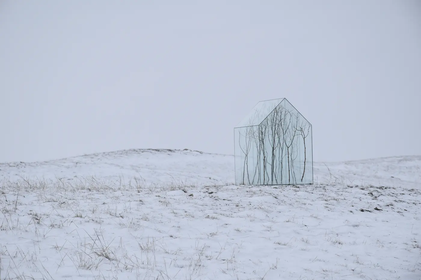 Sandor körei, installation art , public winter landscape with glass house and branches