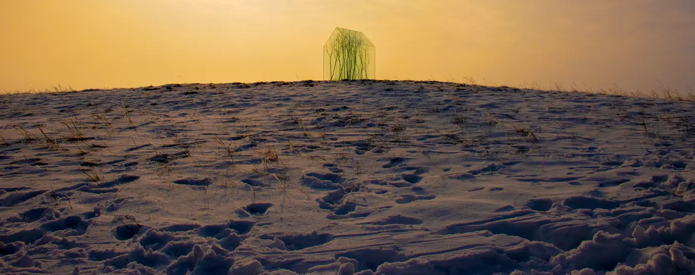 Sandor körei, artist , land art , Hungarian artist portrait by catapult munchies art club