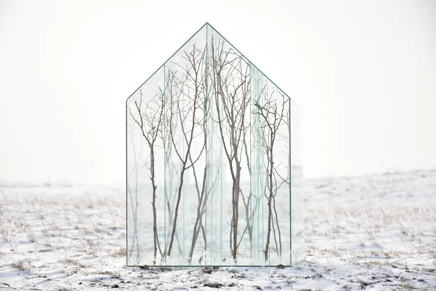 Sandor körei, installation in public space, glasshouse with branches. winter landscape 