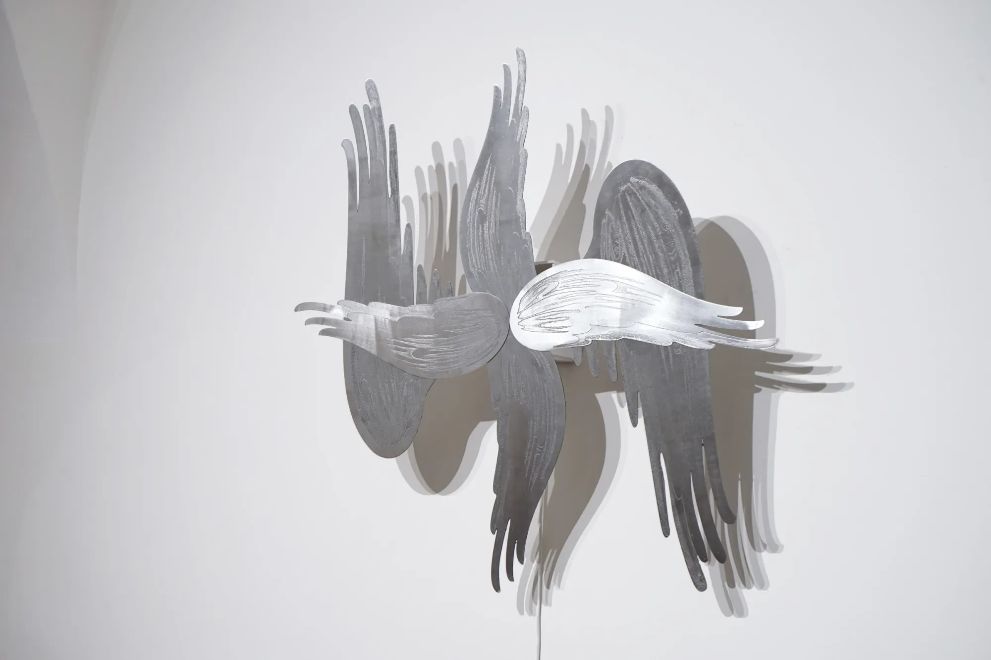 Maria Belova, Observers, Etched Aluminuim , installation view AG18 Vienna Gallery