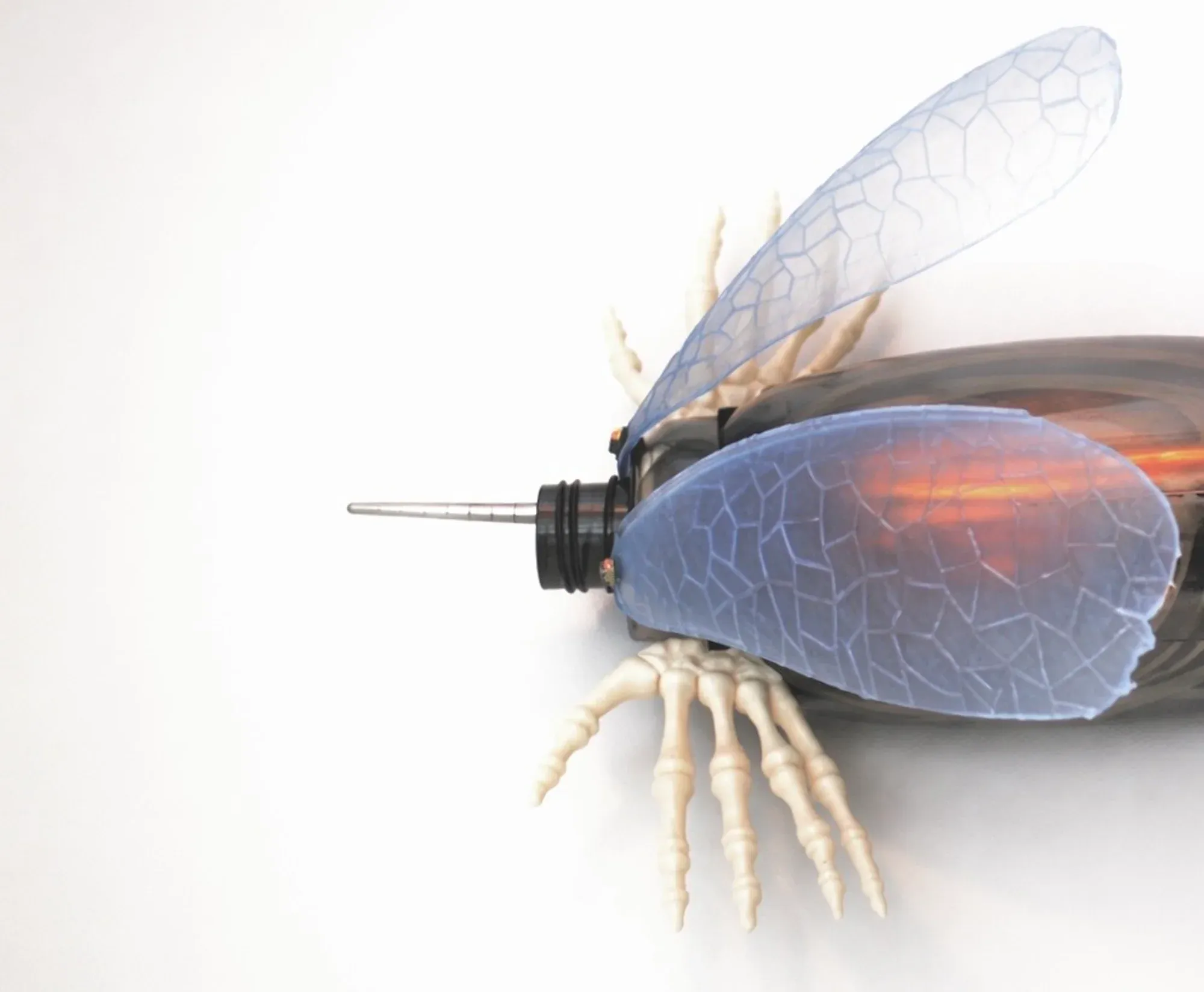 Yorgos Agrotes sculpture user_vamp0067 (2026), hybrid insect-like object with translucent blue wings, skeletal legs and a metallic chopstick element mounted on a white wall.