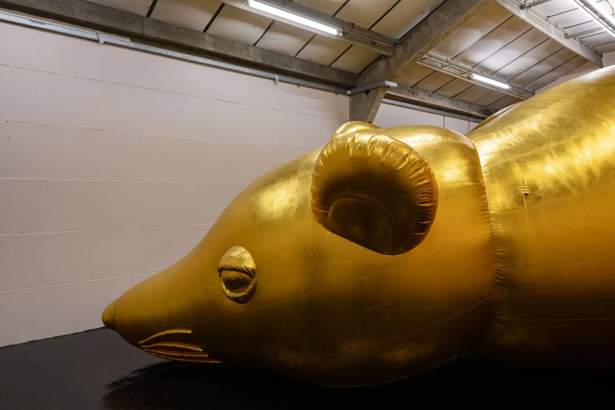 Esben Weile Kjær Lions installation detail showing reflective gold material and soft sculptural form, London exhibition