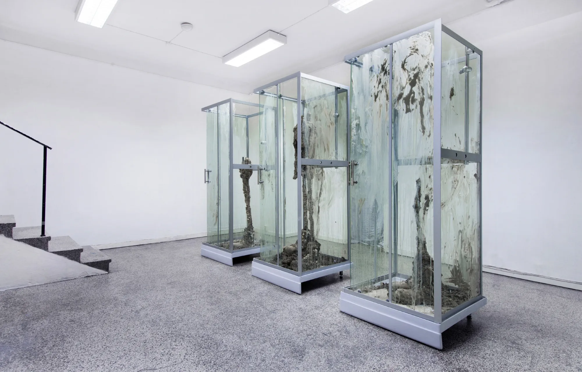 Andreas R Andersson, installation view, three glass showcases with decomposing organic material