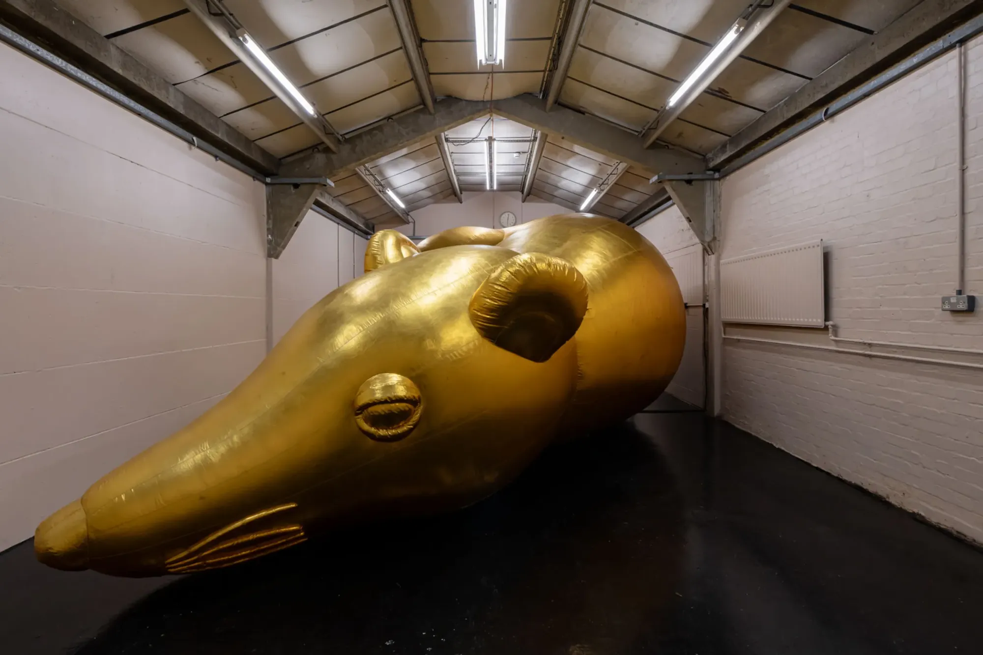 Esben Weile Kjær Lions exhibition, monumental gold rat sculpture stretched across gallery interior, Londo