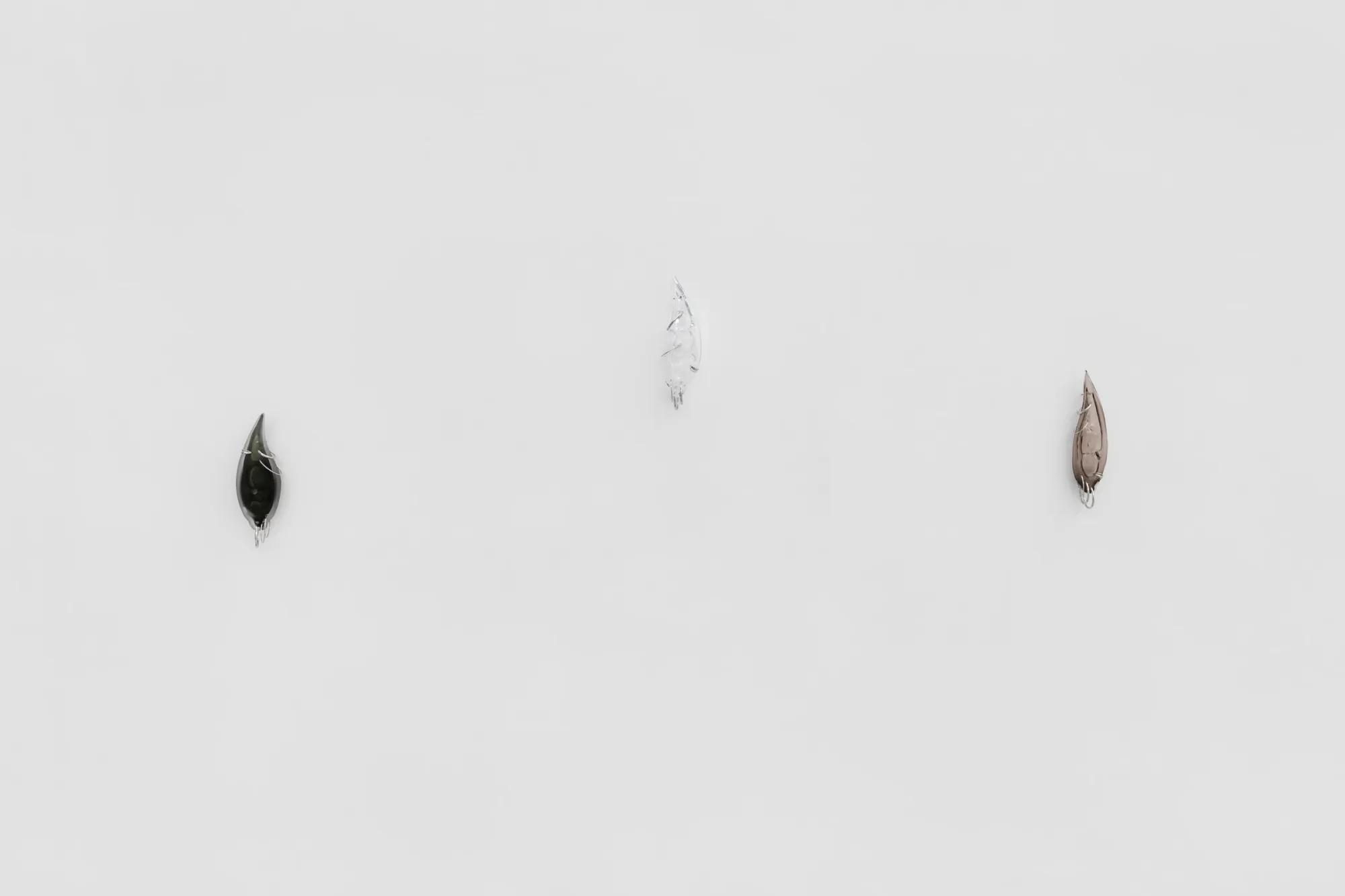 Three glass ear sculptures mounted on white wall, Spike series by Floryan Varennes at Xxijra Hii London