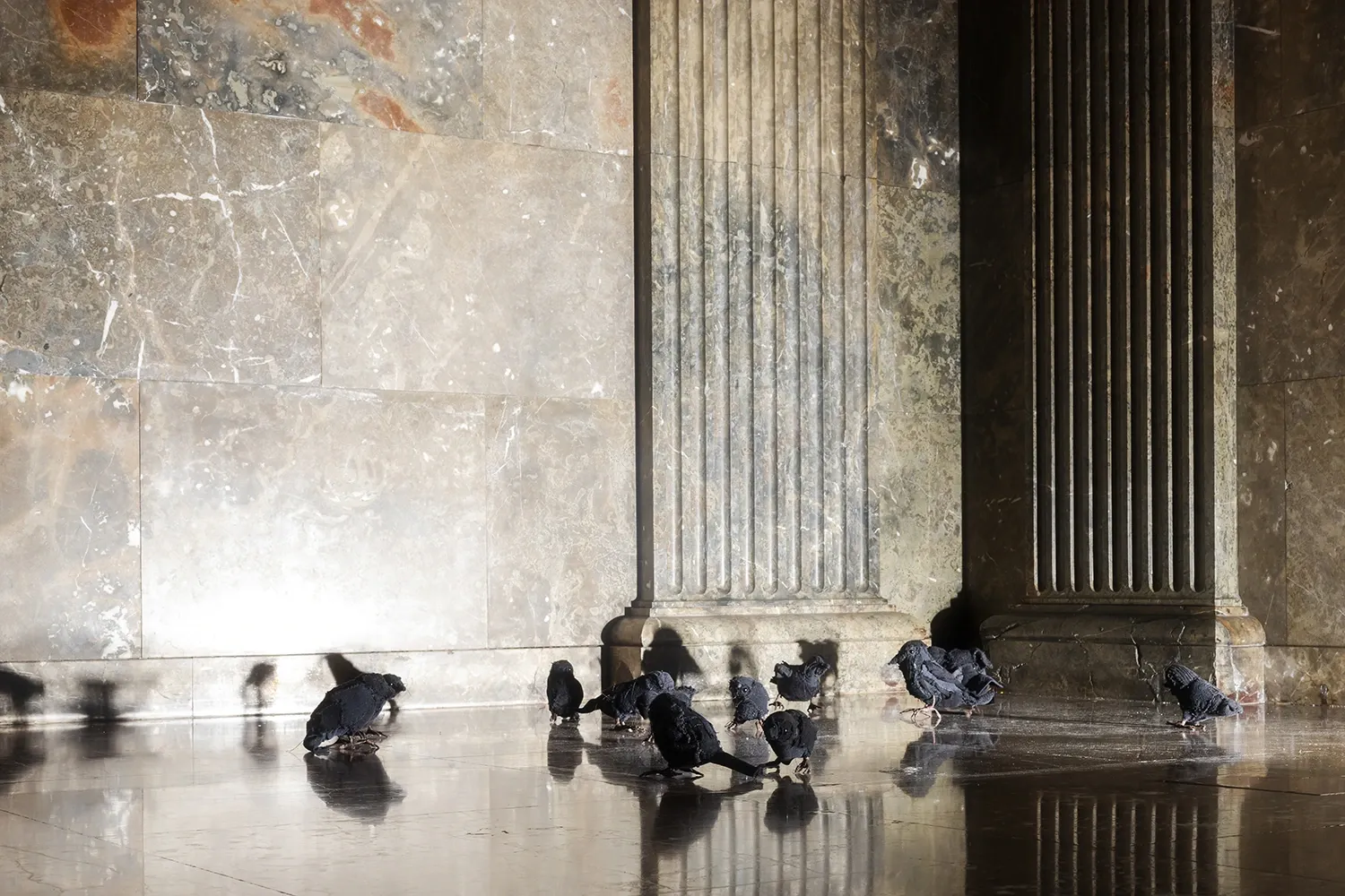 Jan Baszak bird sculptures textile installation detail Letztraum ZAMEK Poznan Filip Preis