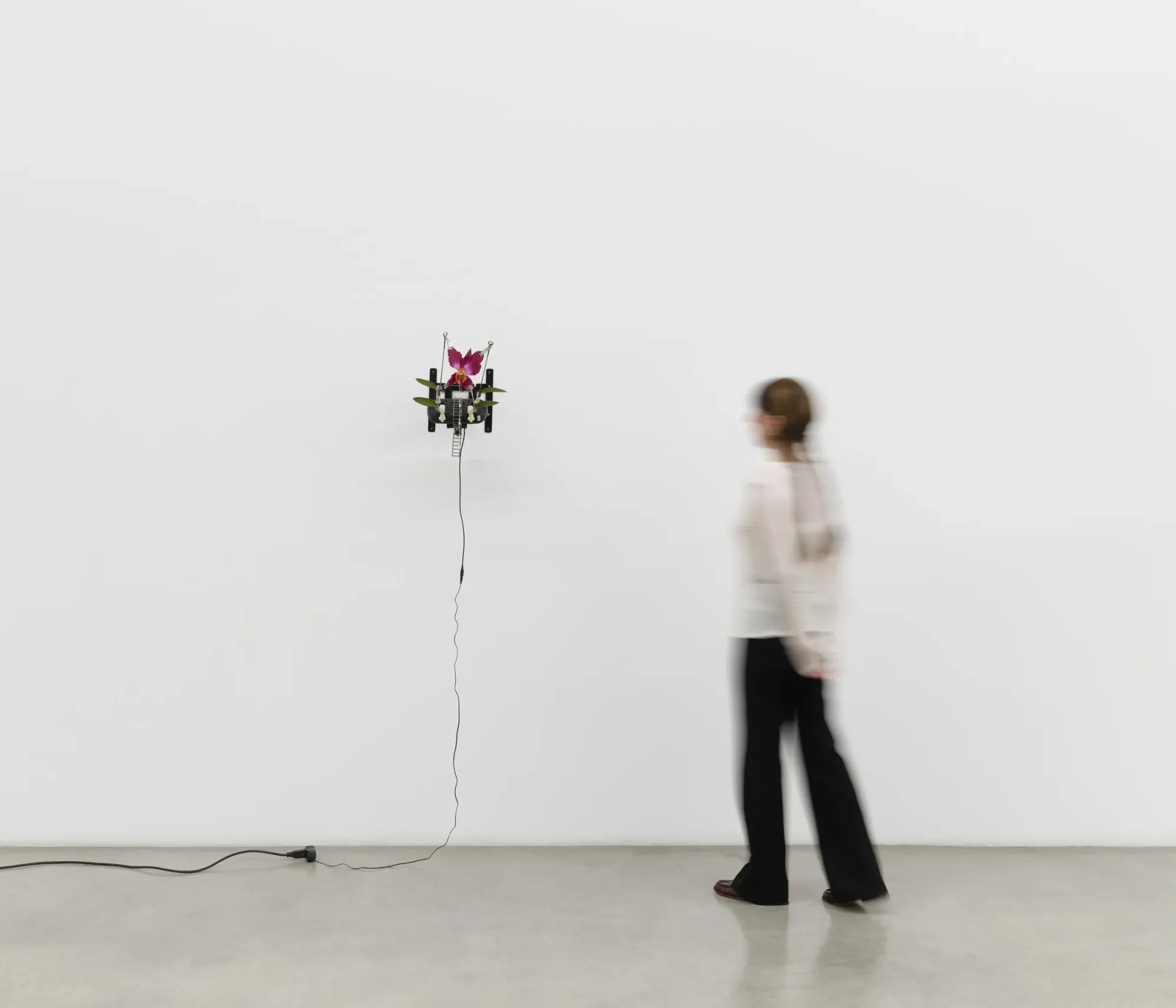 Rachel Youn - Slow Burn,  artificial orchid, artificial leaves, glass,  moving. 