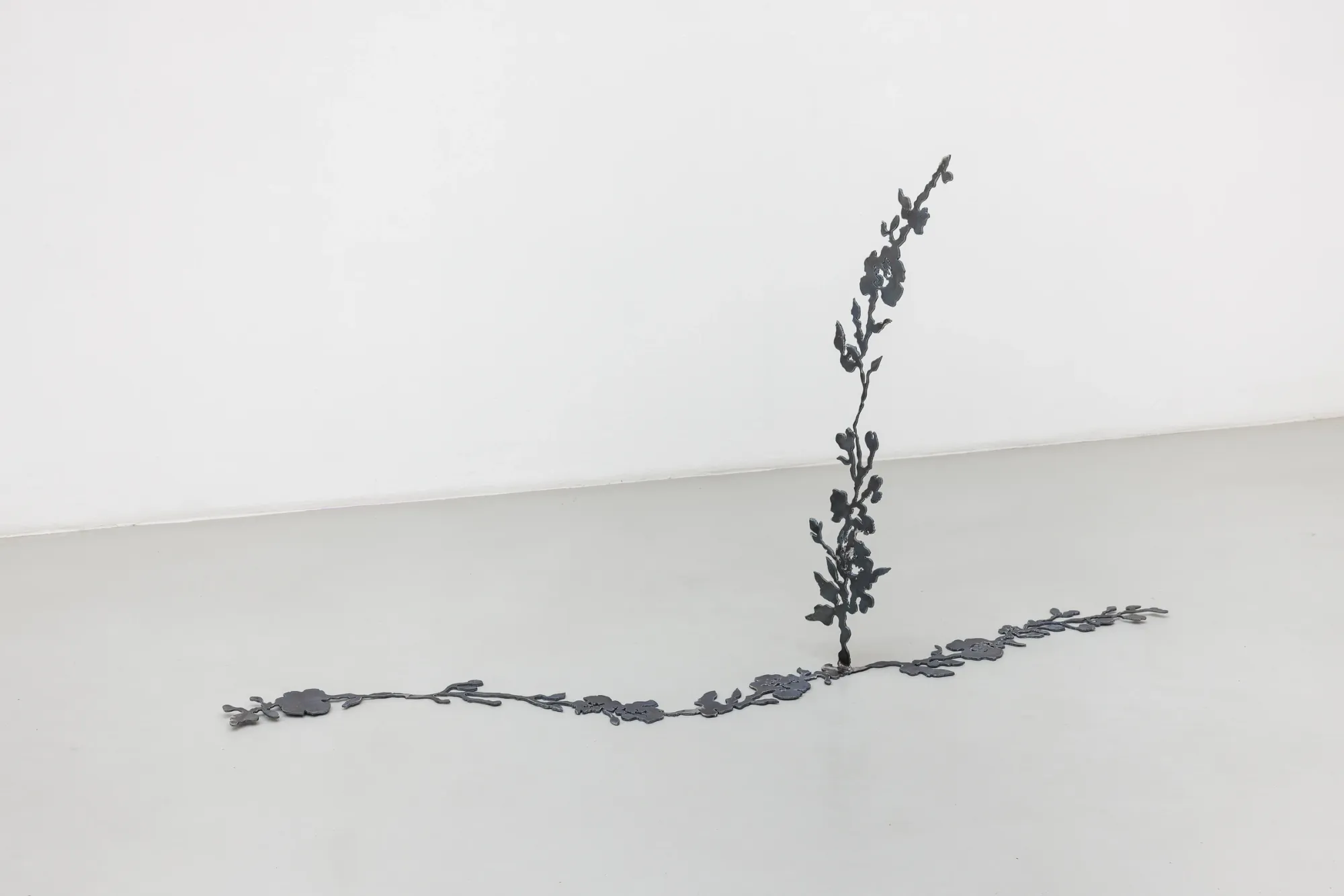 So Young Park Bloom of a Vanishing Dream 2025 oxidized metal sculpture horizontal spread botanical form gallery floor Vienna contemporary sculpture installation