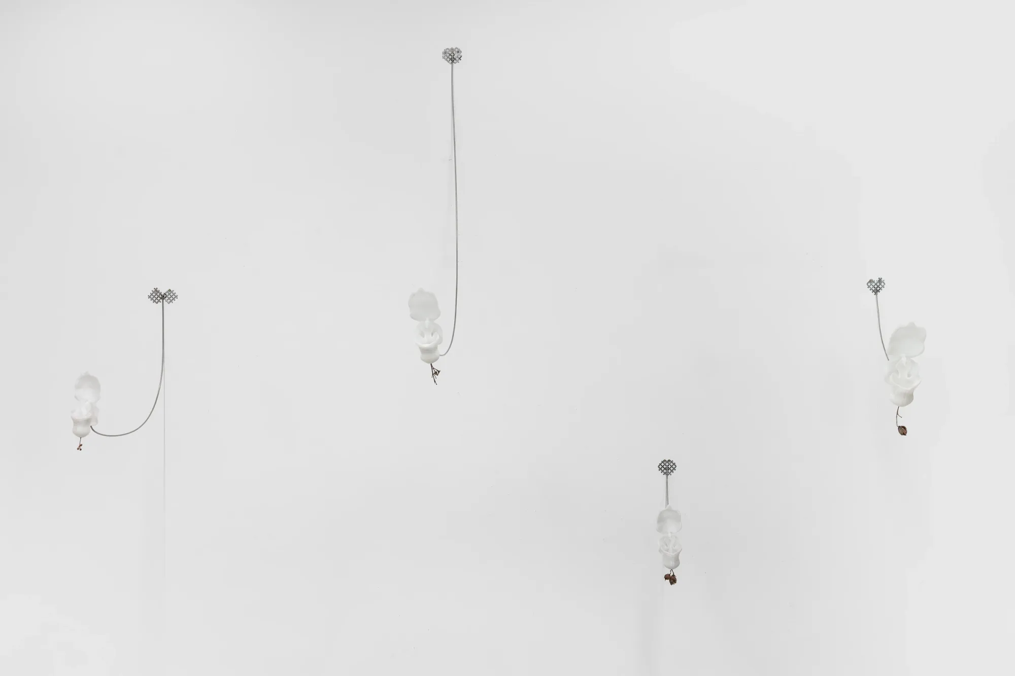 So Young Park Gestated Leak 2026 installation detail suspended sequence forms wire structure organic elements contemporary installation Vienna gallery