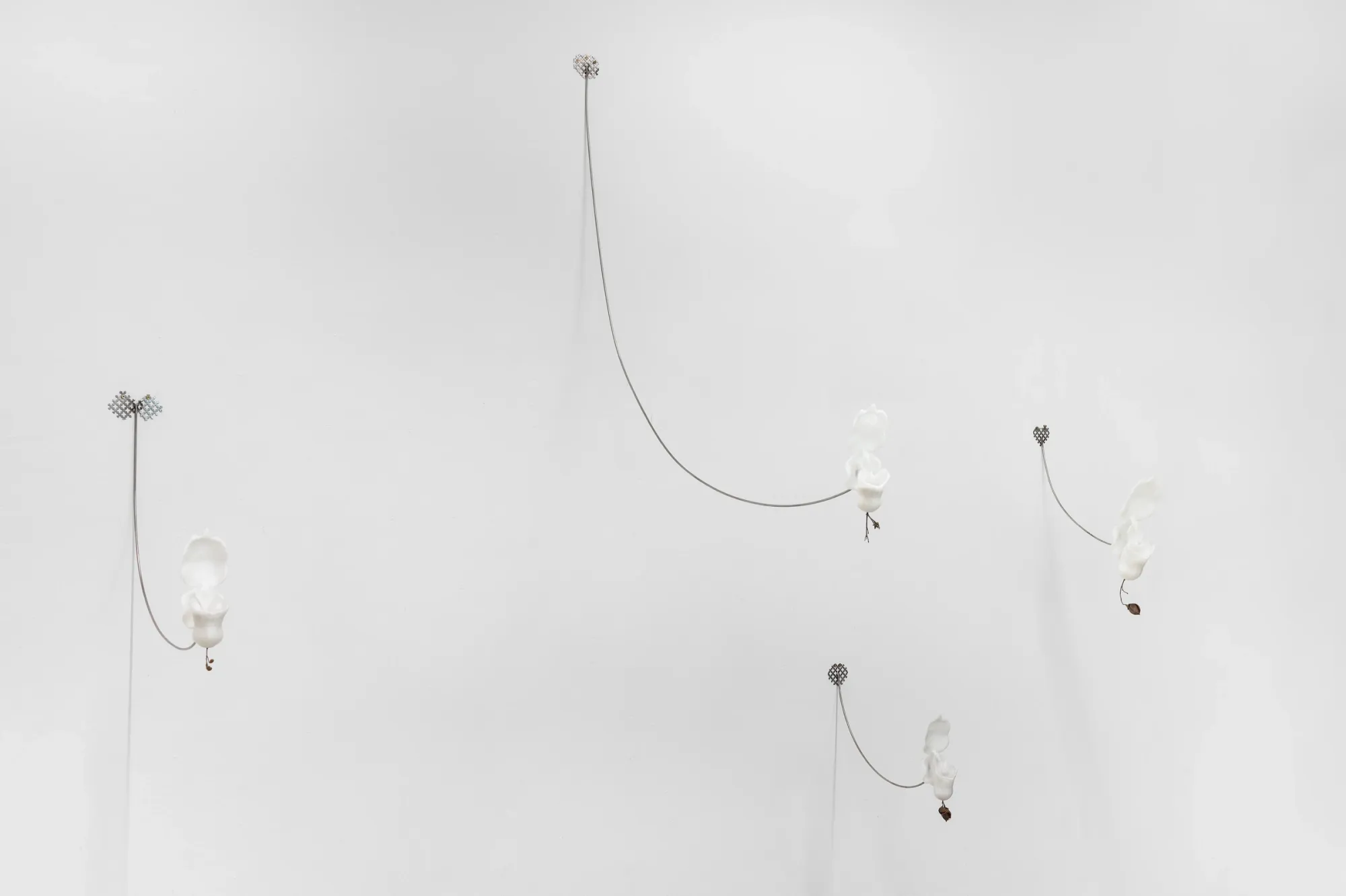 So Young Park Gestated Leak 2026 installation view wall suspended forms 3D printed elements wire extensions minimal white gallery Vienna contemporary art