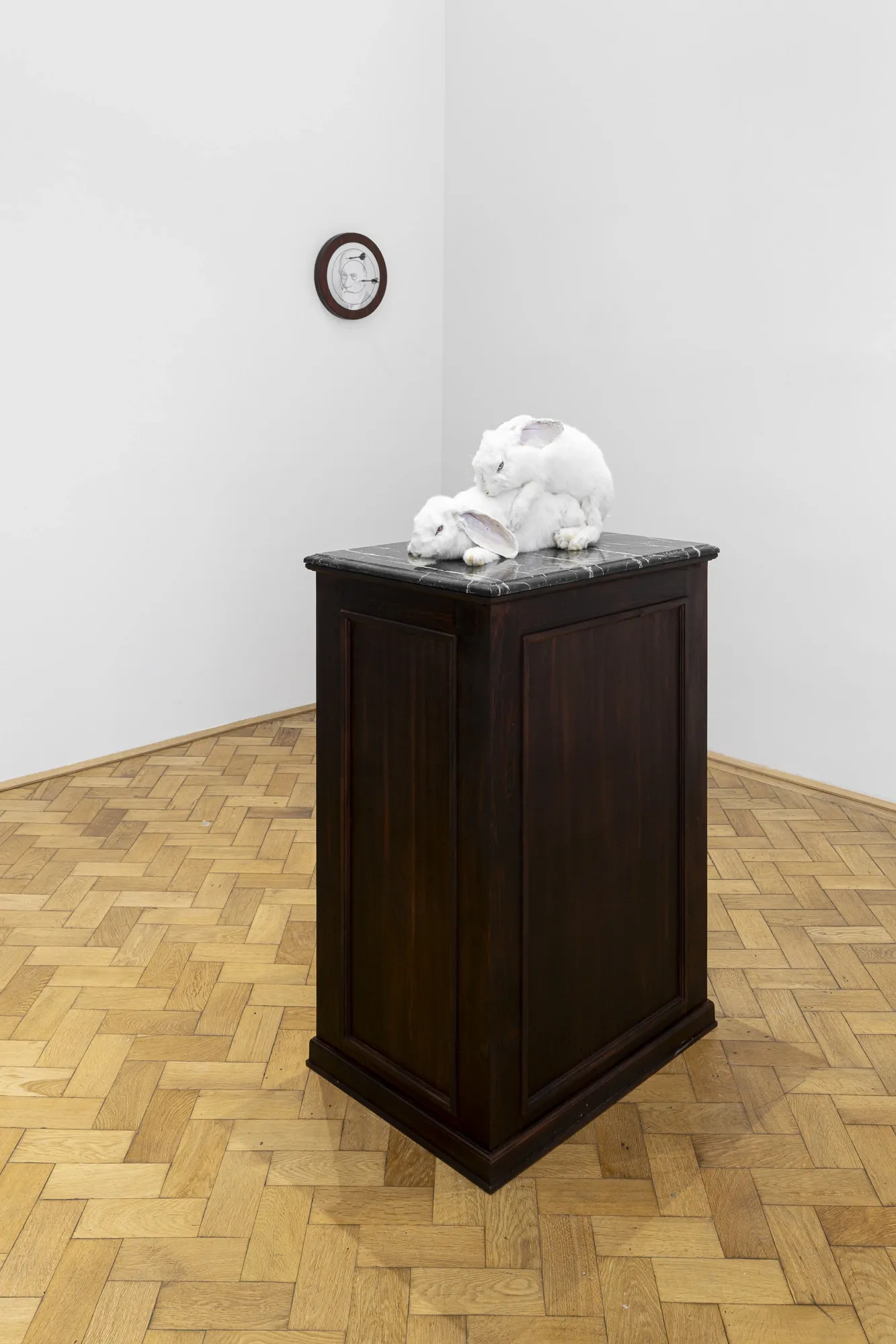 Tudor Ciurescu L urgenza Eterna ELEGIA at VUNU Vienna taxidermy rabbits on marble surface atop dark wooden cabinet