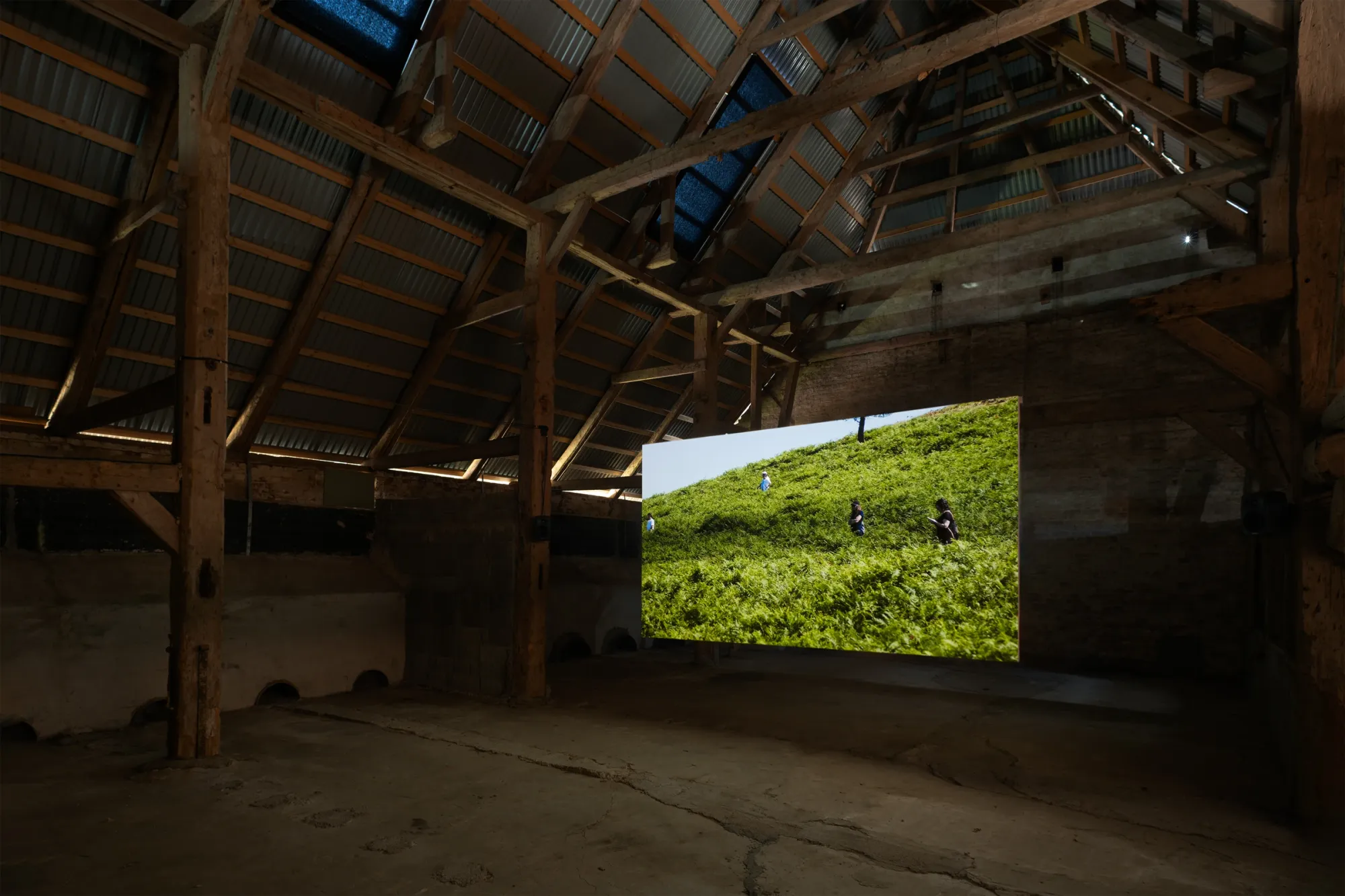 Installation view of Yalda Afsah’s exhibition Surge at Kunsthal Thy, Denmark, showing a large video projection of people moving across a green hillside inside a wooden barn with exposed beams and concrete floor.