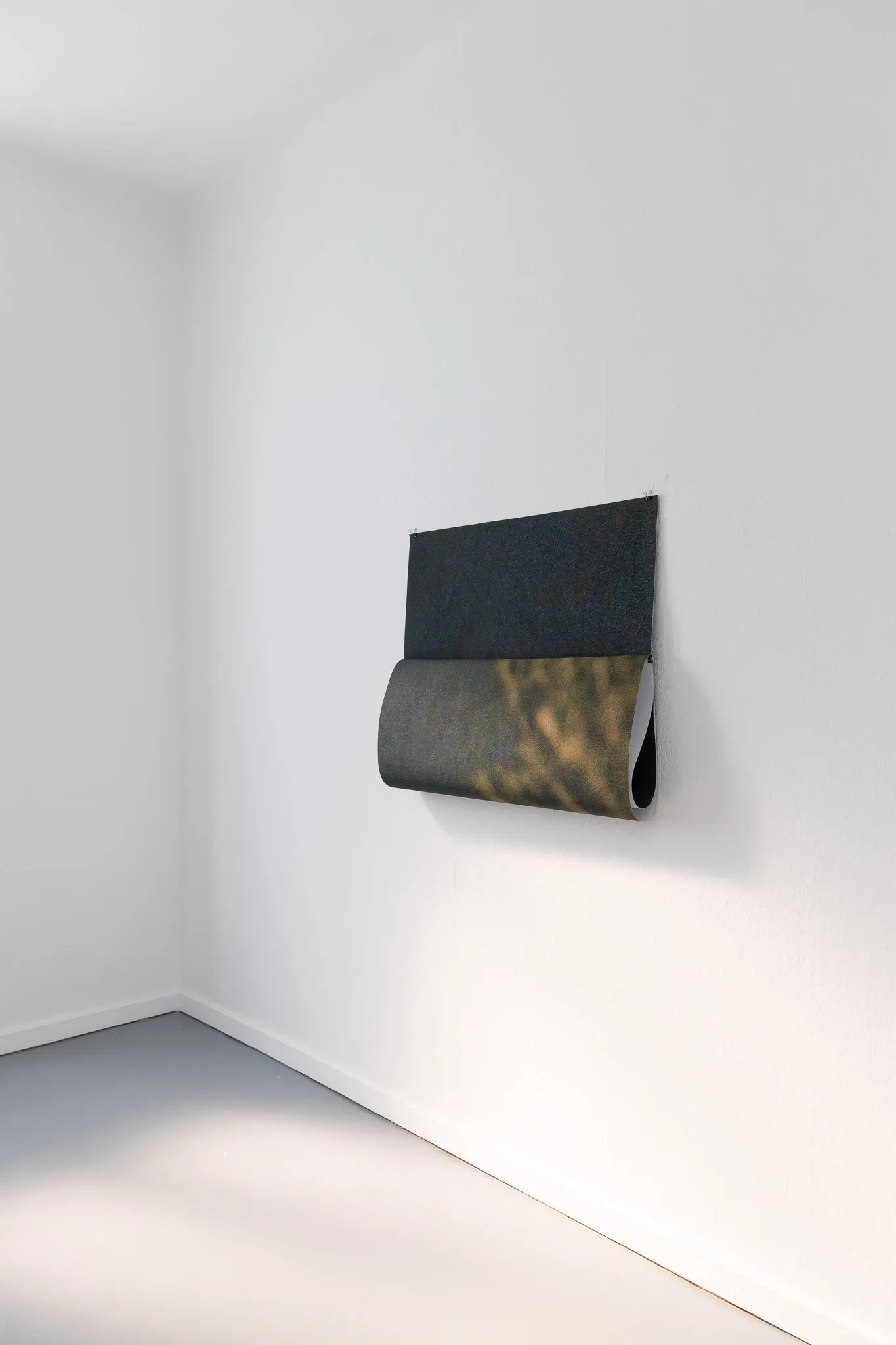 Backyard Reunion , frames Finja Sander, art exhibiton