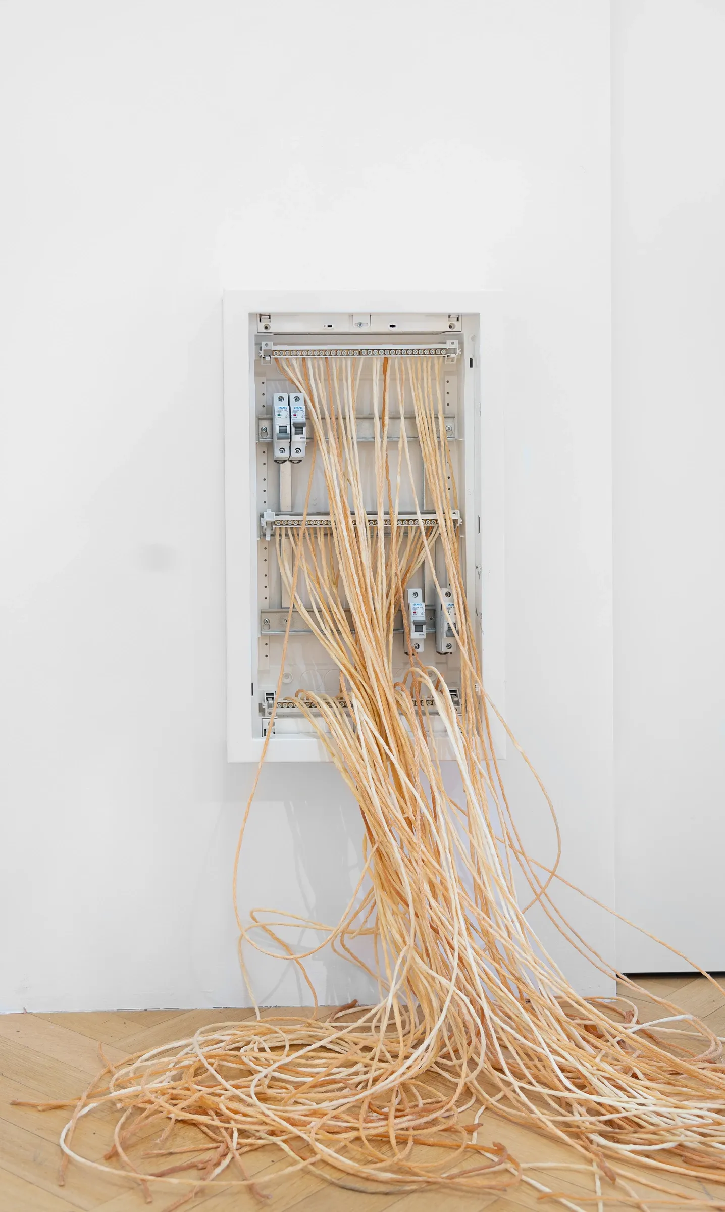 Kaja Clara Joo, 다시 : DASI, 2026, installation detail. Electrical fuse box embedded in wall with pale latex tubing flowing out and pooling on floor. Korean Culture Center Vienna.