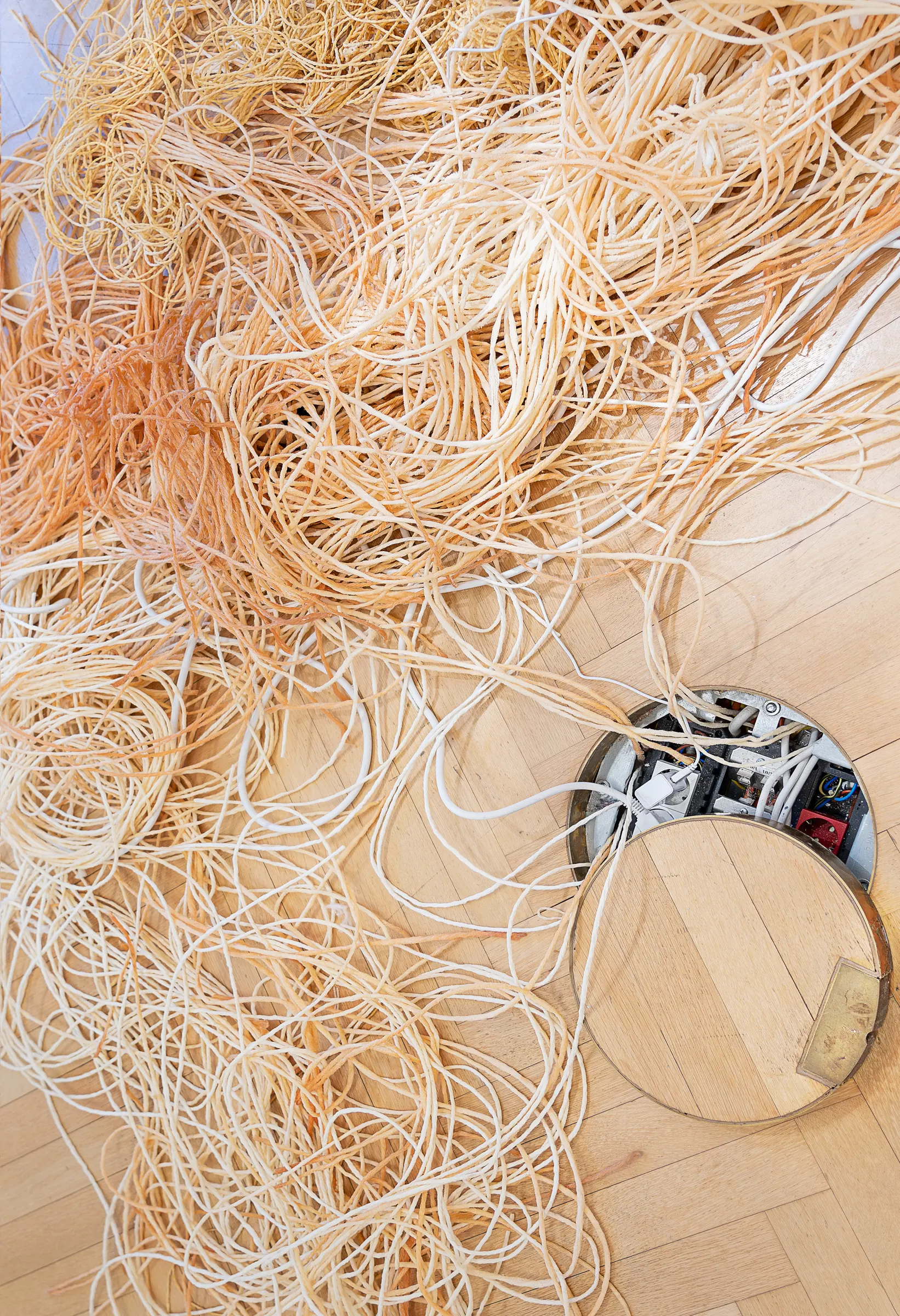 Kaja Clara Joo, 다시 : DASI, 2026, installation detail. Bird's-eye view of latex tubing massed on parquet floor with robot vacuum cleaner integrated into the work. Korean Culture Center Vienna.
