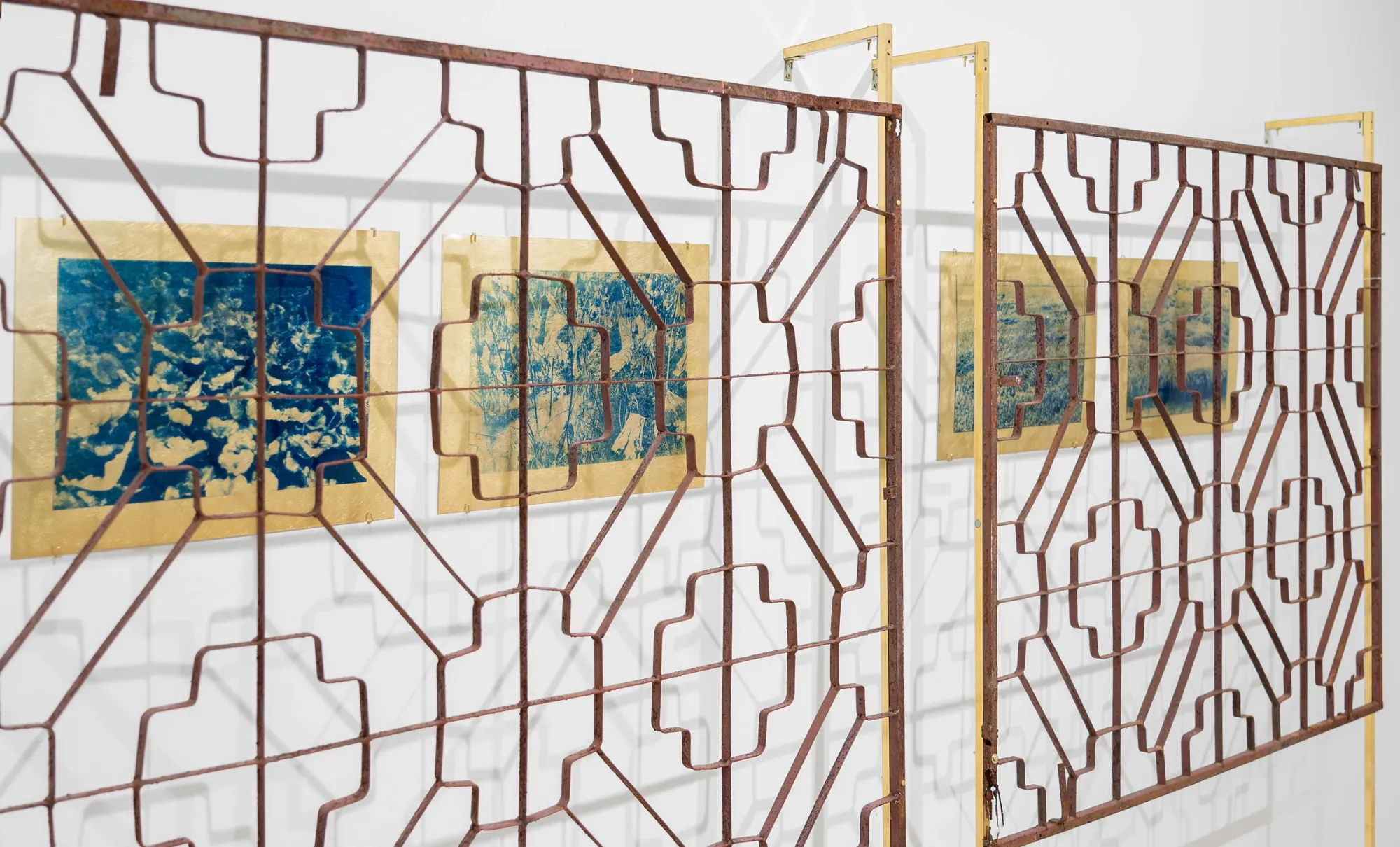 Kaja Clara Joo, 다시 : DASI, 2026, detail. Cyanotype prints on gold latex within rusted steel lattice frames, side view showing four botanical panels in blue and gold. Korean Culture Center Vienna.