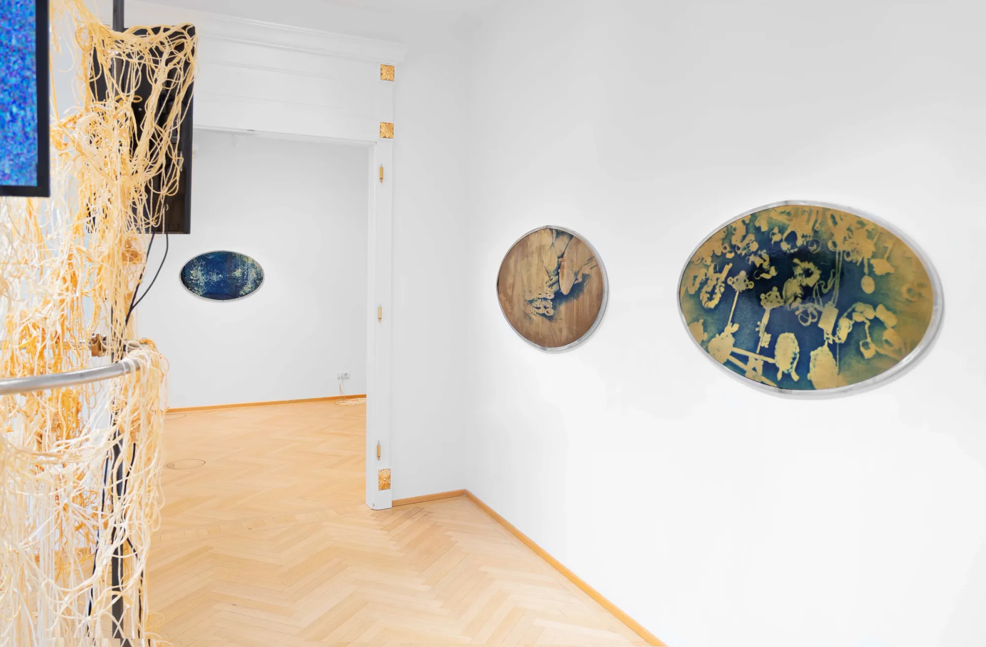 Kaja Clara Joo, 다시 : DASI, 2026, installation view. Left: latex tubing installation with blue video screen. Right wall: three oval and circular works — small dark blue cyanotype oval, medium circular work on wood panel with inverted figure, large oval with cyanotype keys and objects in blue and gold. Korean Culture Center Vienna