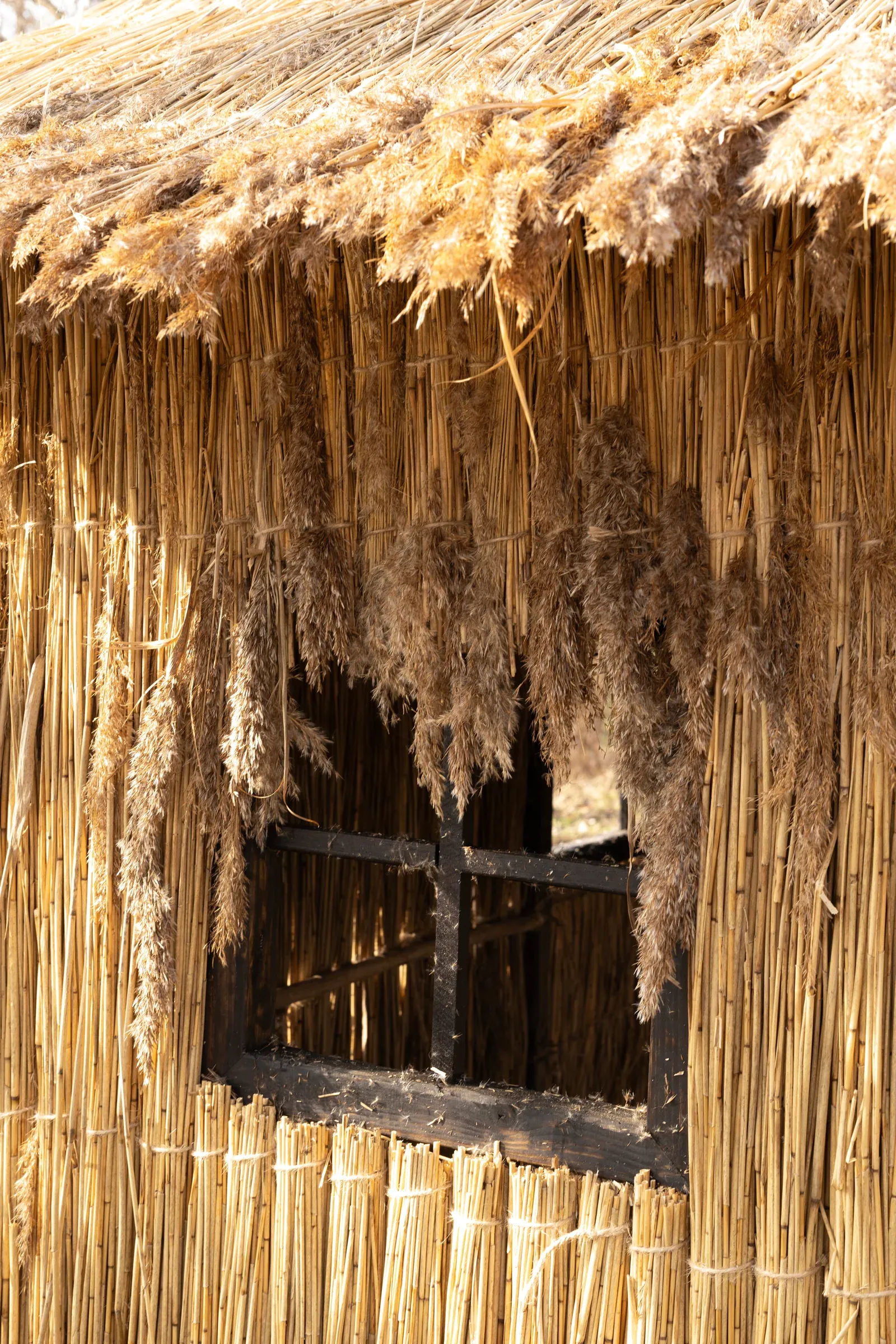 Olivia Rode Hvass, She listens but she can't speak, detail, Museet for Samtidskunst, Roskilde — building-foam cocoon suspended inside the reed house, its bumped and hollowed surface visible through the dark doorway opening, dried reed flowers hanging above.