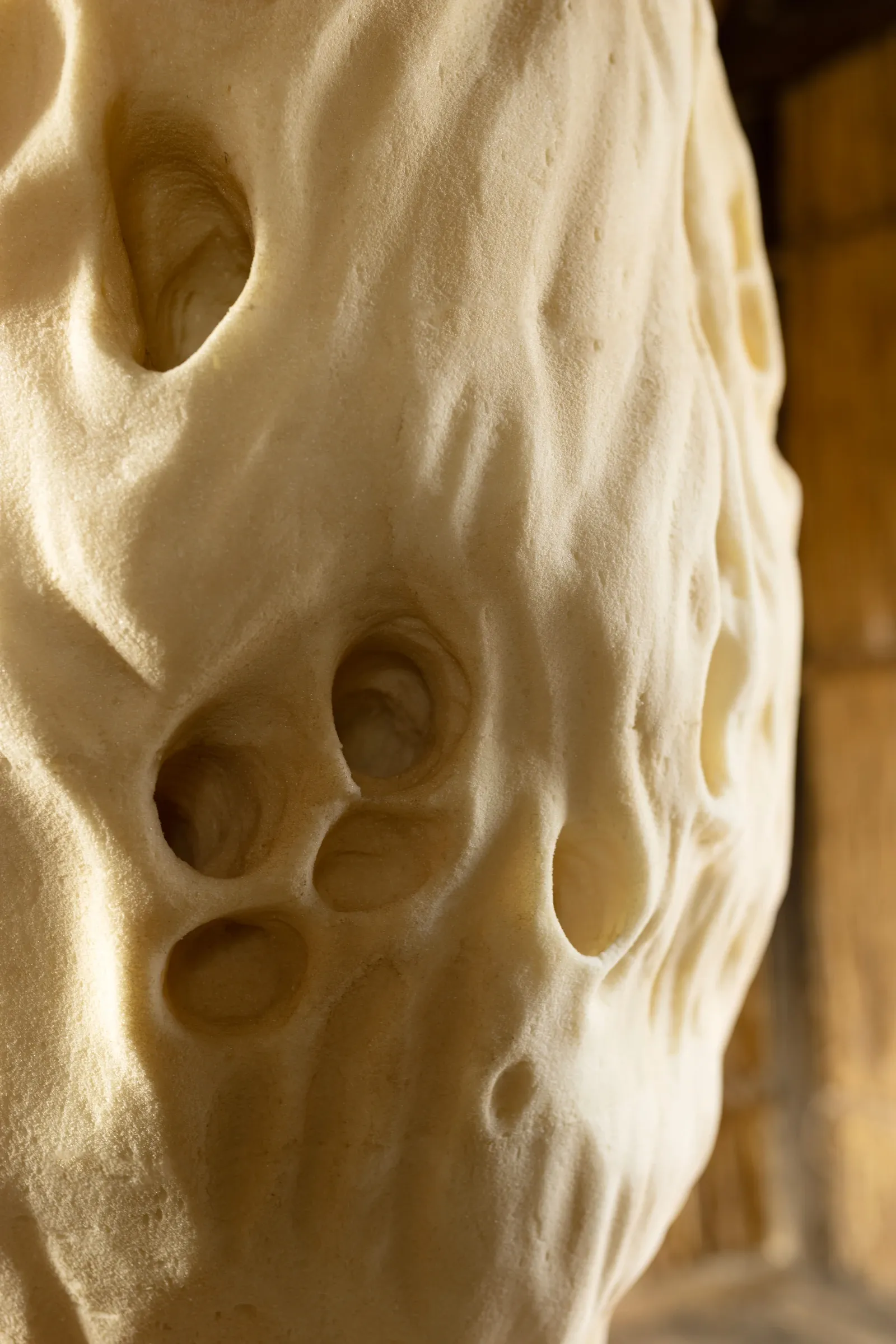Olivia Rode Hvass, She listens but she can't speak, detail, Museet for Samtidskunst, Roskilde — extreme close-up of the building-foam cocoon surface; pitted circular depressions and flowing ridge formations in warm amber light.