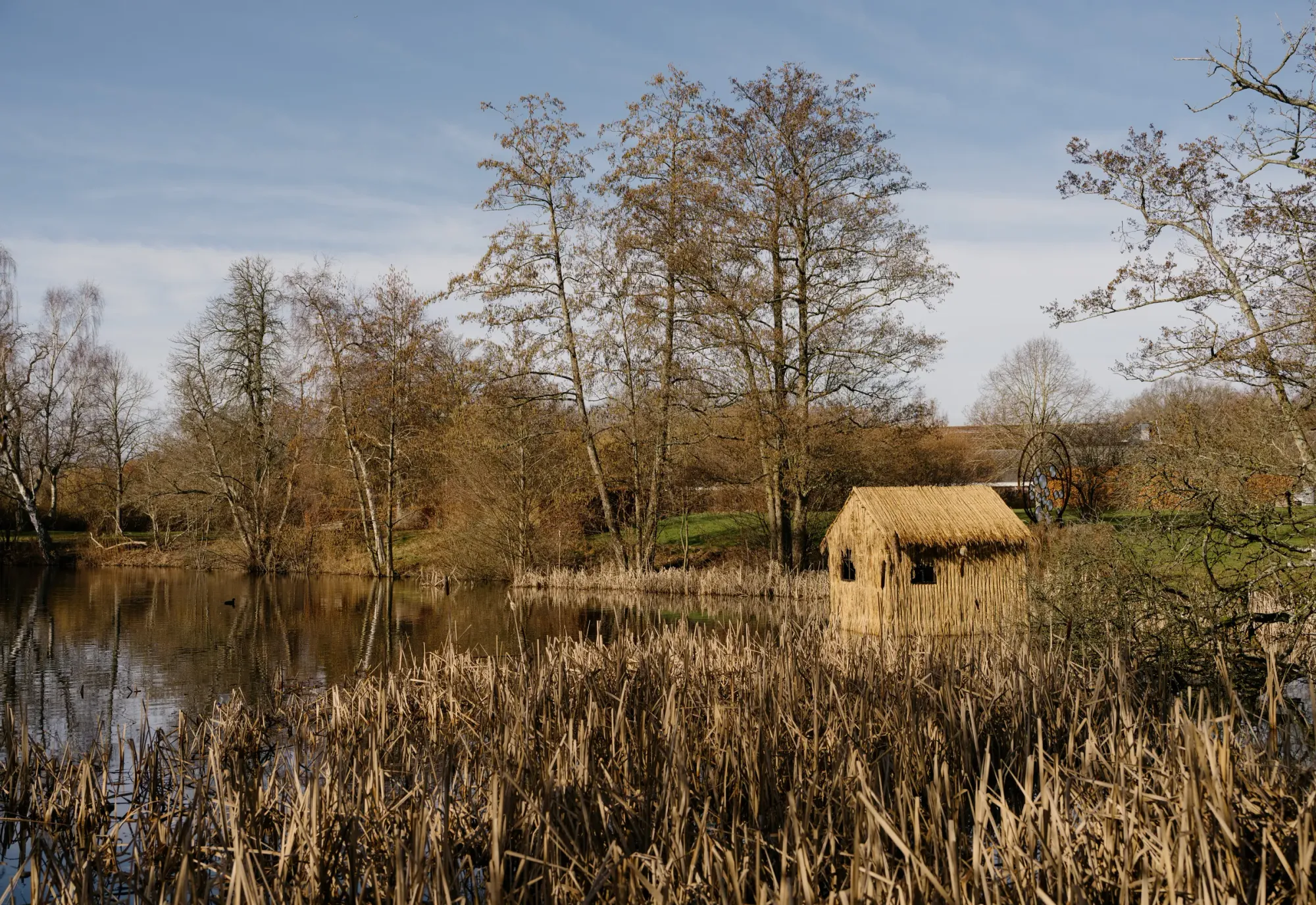 Olivia Rode Hvass, She listens but she can't speak, installation view, Museet for Samtidskunst, Roskilde — wide view across native reed beds; the reed house sits within the winter landscape under an open sky.
