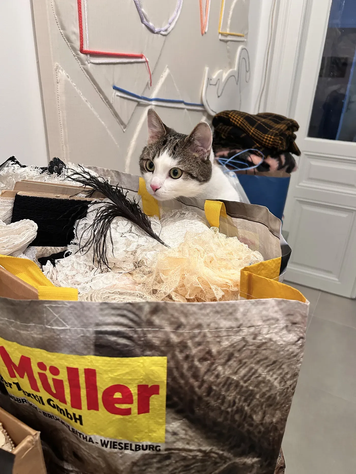 Matteo the cat sitting in a Textil Müller fabric bag in Daniel Ferstl's Vienna studio