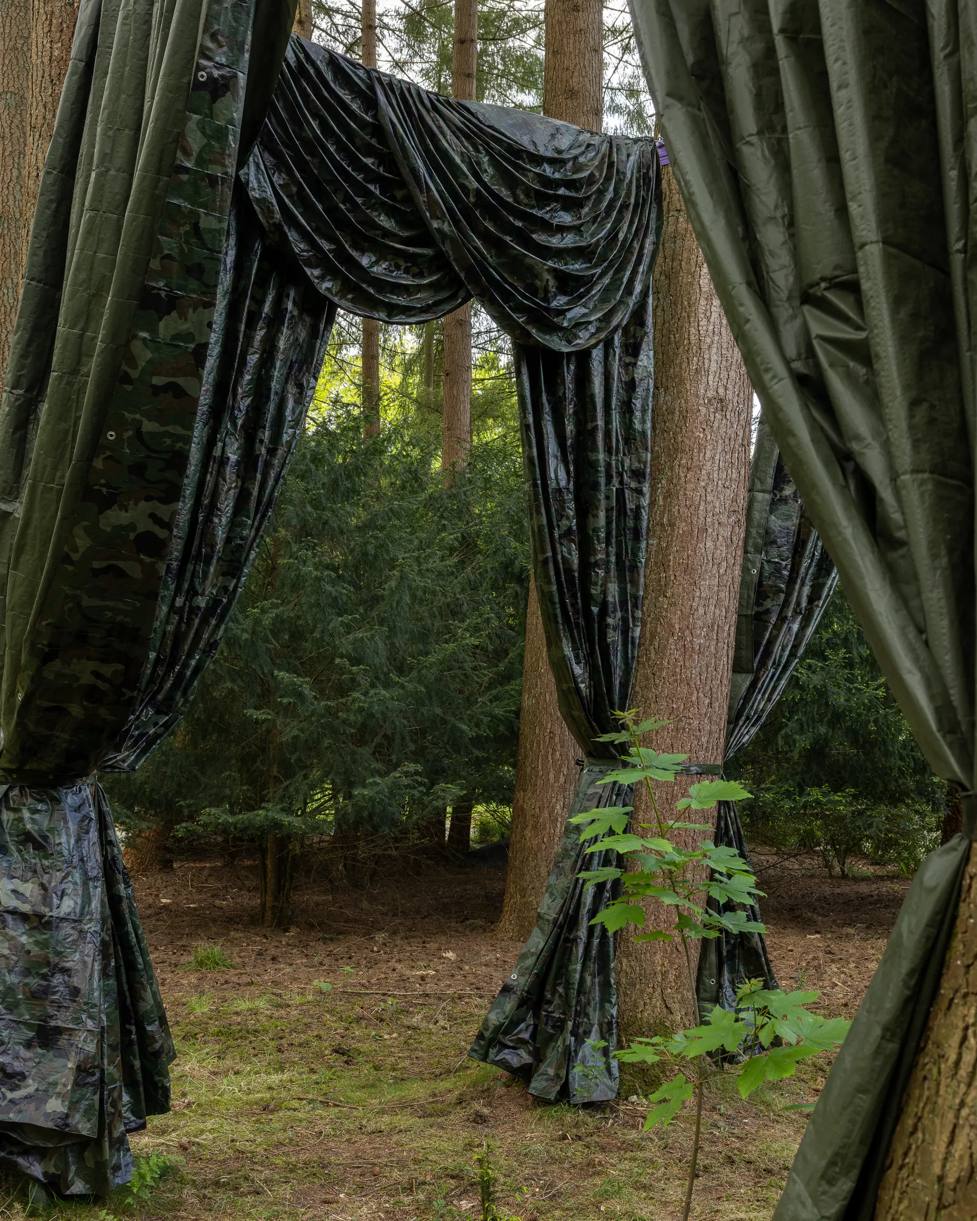 Katharina Busl, Nothing Up My Sleeve, PaltzBiënnale Soest 2026, gathered camouflage curtain panels between pine trees