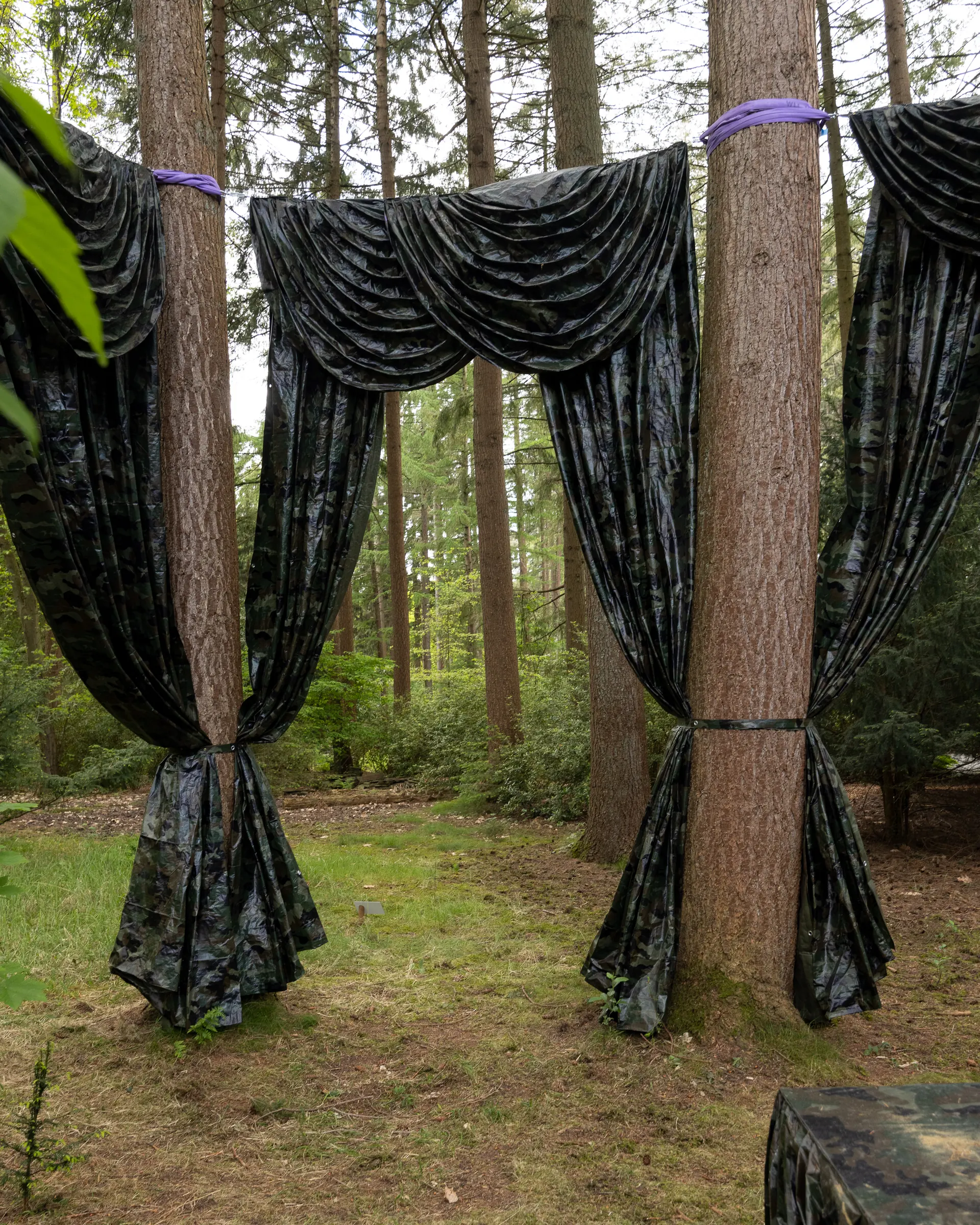 Katharina Busl, Nothing Up My Sleeve, PaltzBiënnale Soest 2026, two curtain panels framing forest view tied to tree trunks