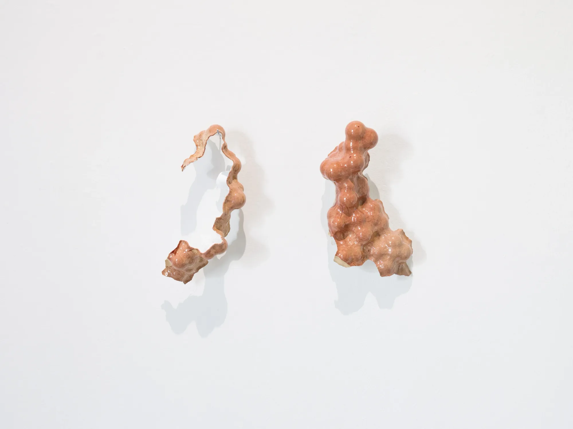 Laurynas Skeisgiela, Liump! Fitness?, Vartai Gallery, Vilnius, 2026, two biomorphic glazed ceramic wall pieces in terracotta pink