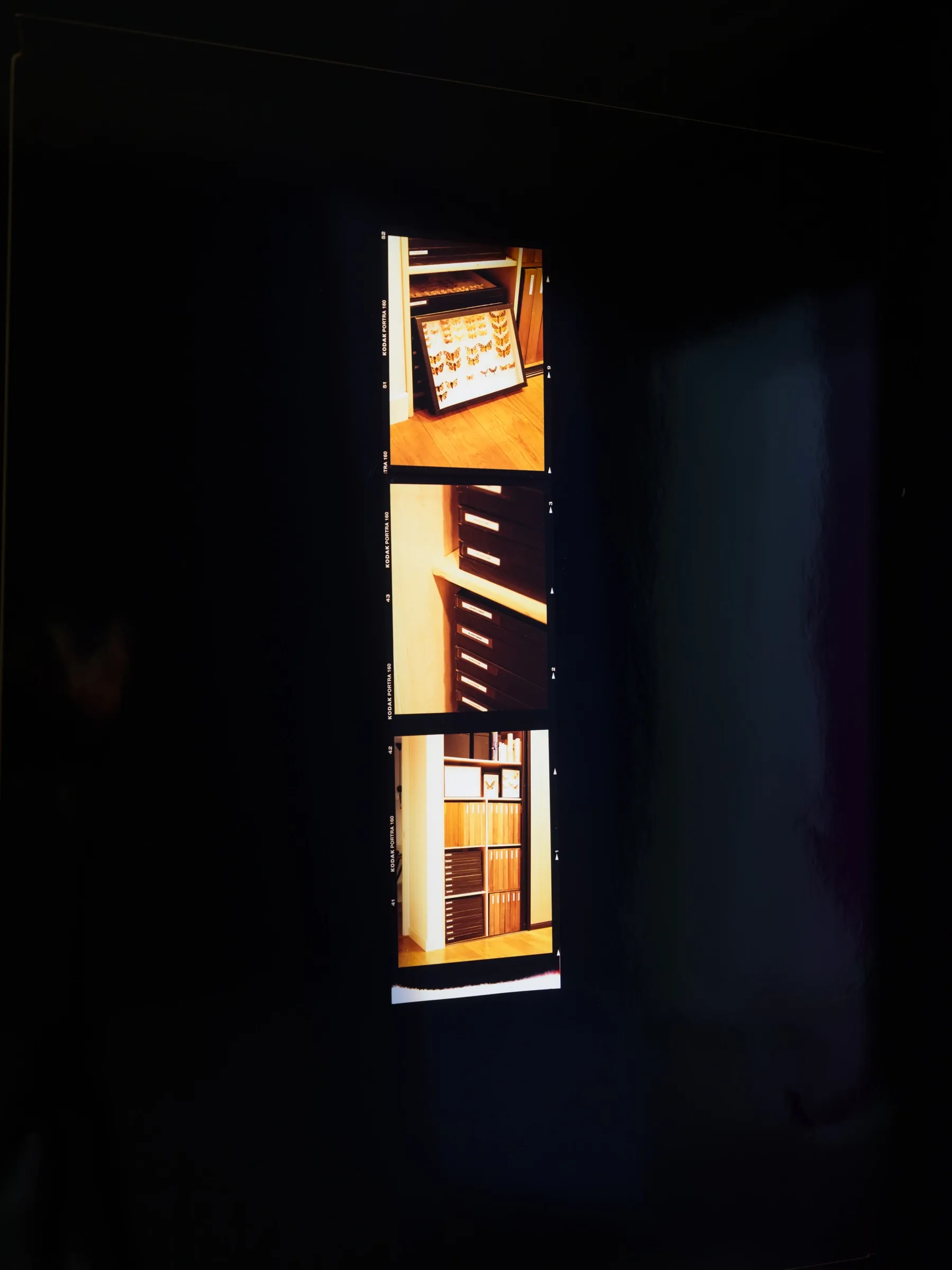 Laurynas Skeisgiela, Liump! Fitness?, Vartai Gallery, Vilnius, 2026, backlit film strip showing butterfly collection cabinet photographs