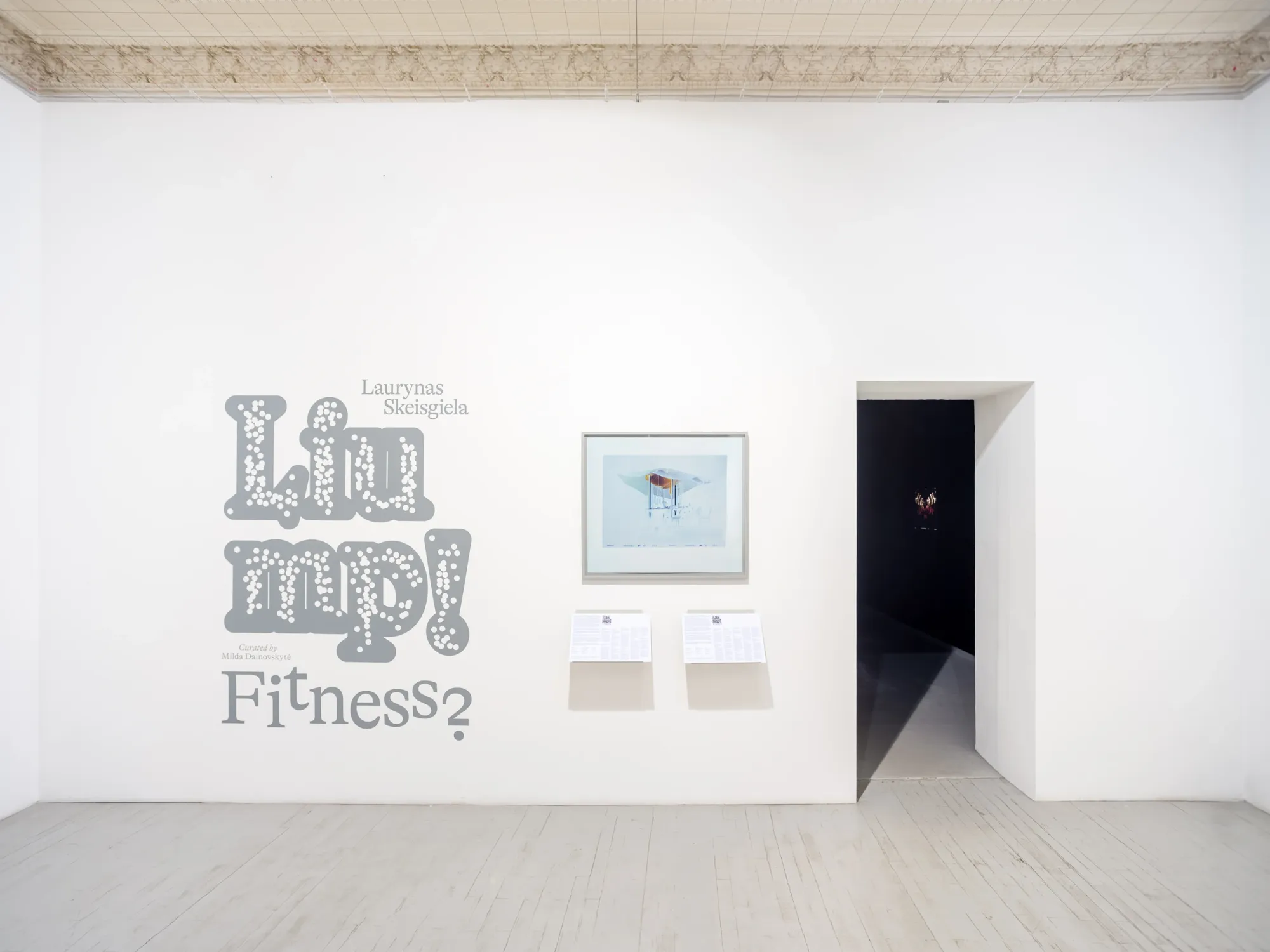 Laurynas Skeisgiela, Liump! Fitness?, Vartai Gallery, Vilnius, 2026, entry room with wall typography and framed C-print