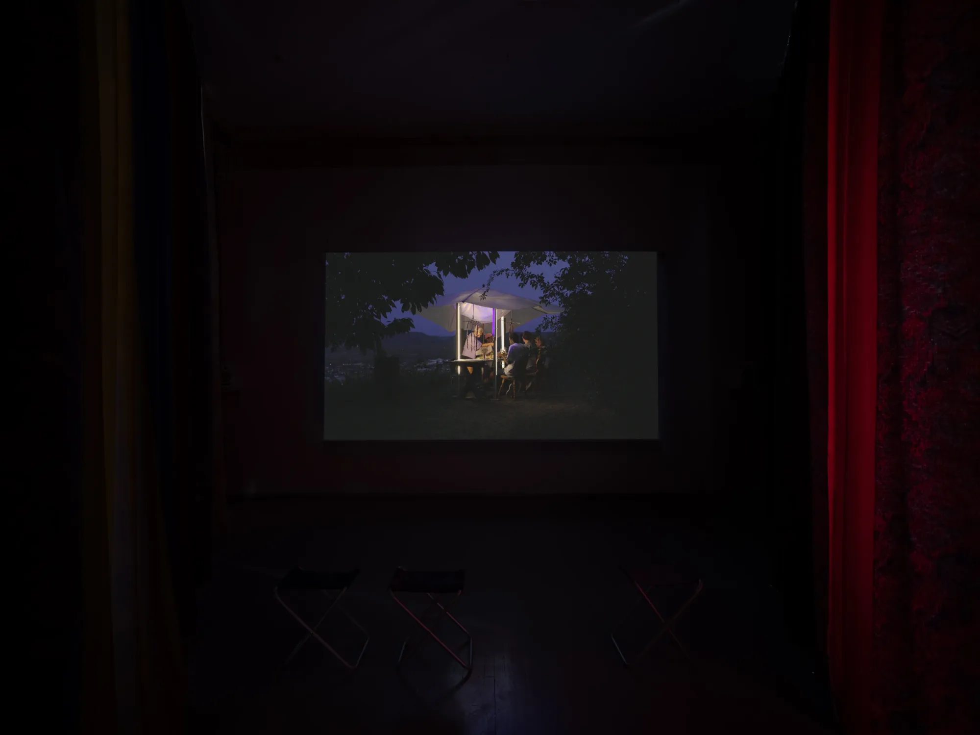 Laurynas Skeisgiela, Liump! Fitness?, Vartai Gallery, Vilnius, 2026, video projection showing nocturnal Heuriger gathering with UV light and moth trap