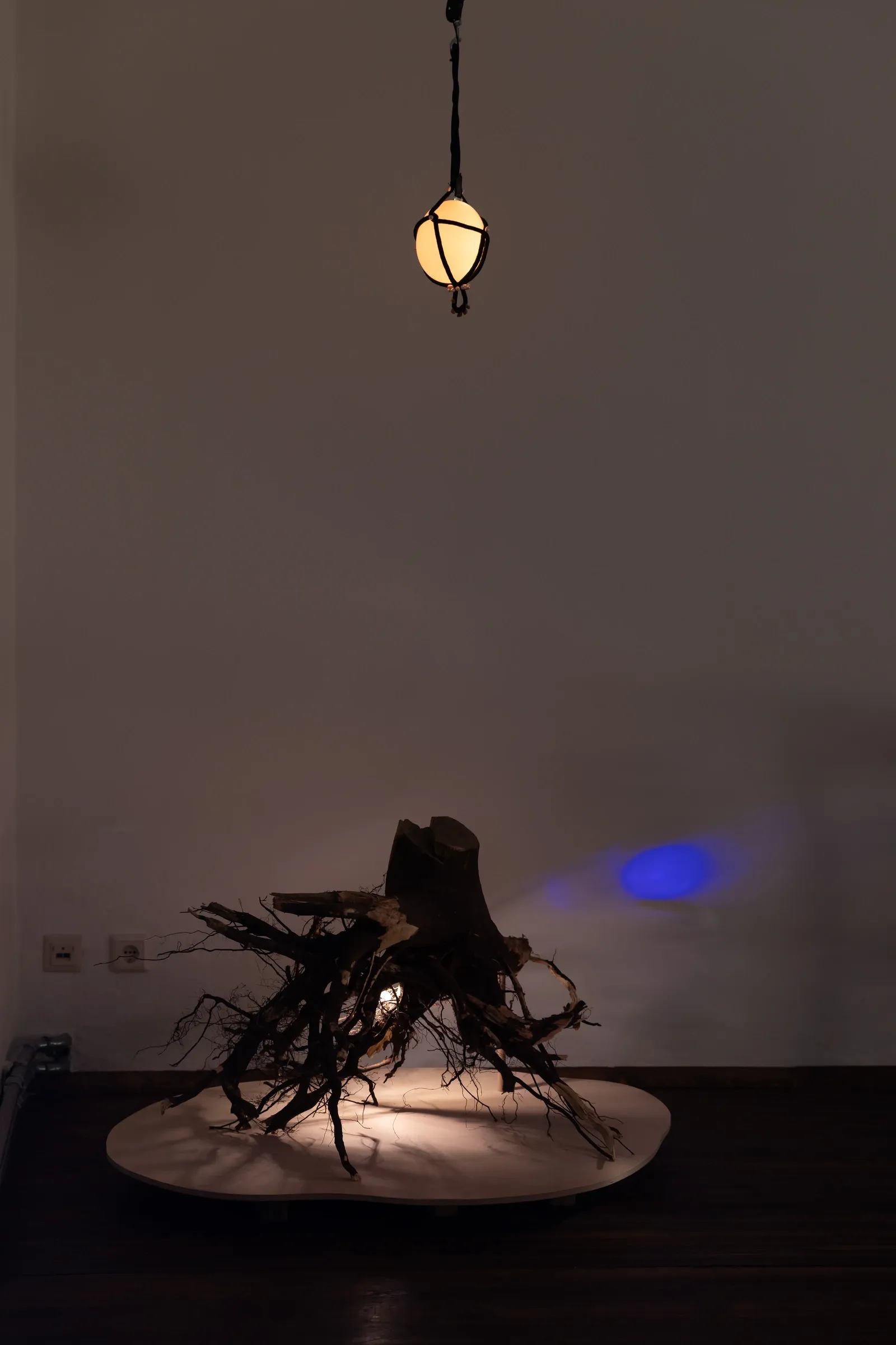 Catrin Manoli, A Parable for Endings and Beginnings, rotor, Graz, 2026, illuminated egg hanging above a tree stump root