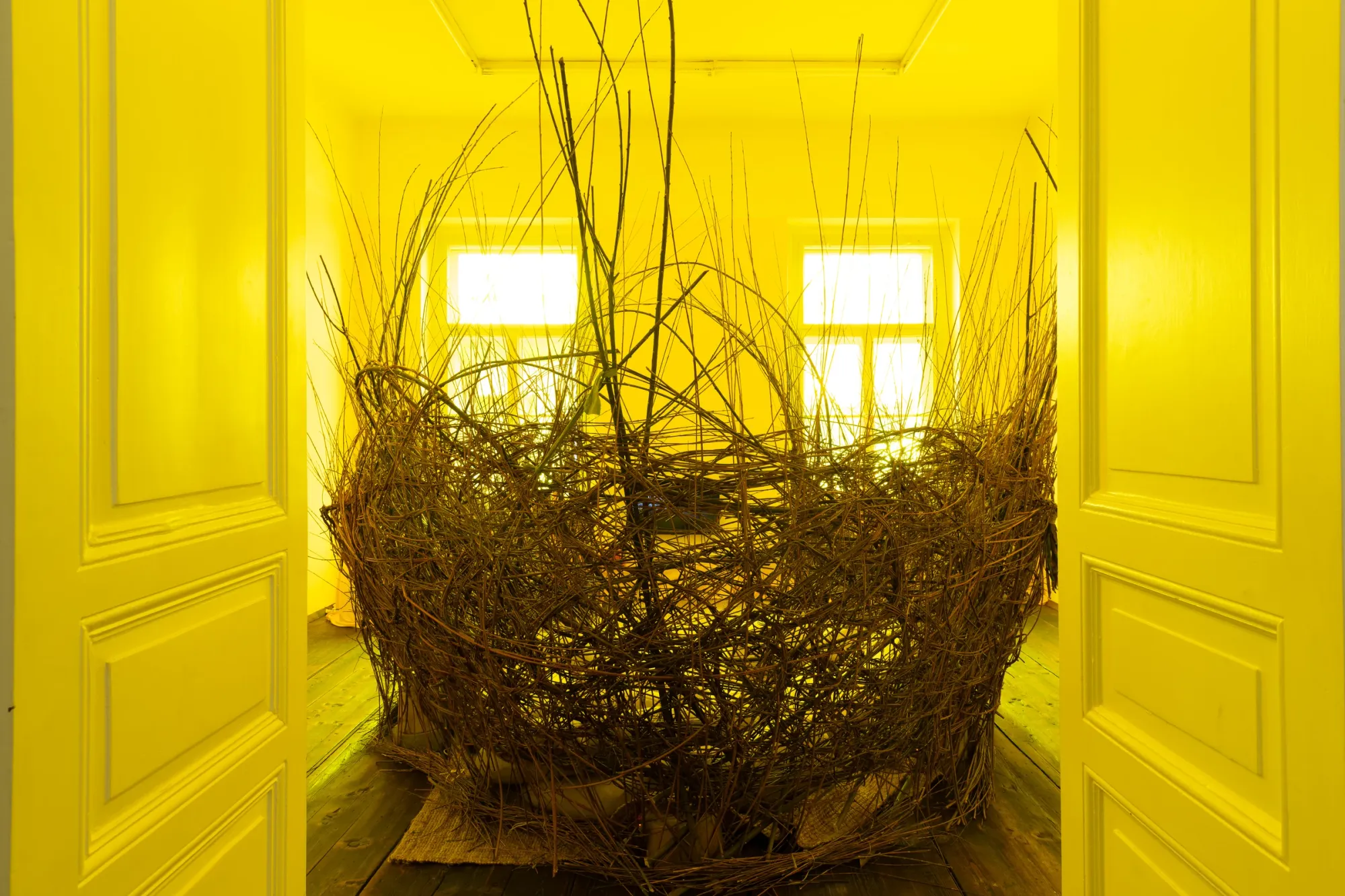 Daily Rhythms Collective, A Parable for Endings and Beginnings, rotor, Graz, 2026, woven willow nest seen through yellow doors