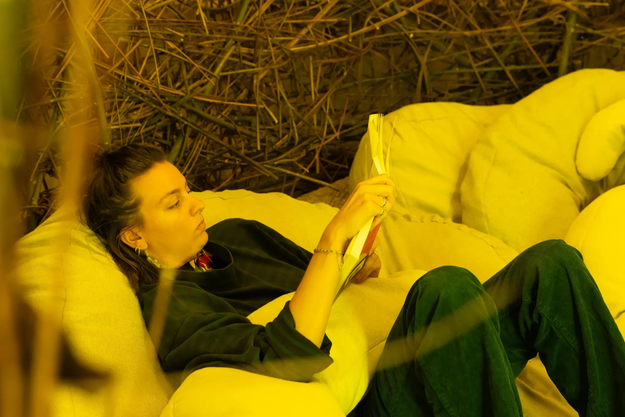 Daily Rhythms Collective, A Parable for Endings and Beginnings, rotor, Graz, 2026, visitor reading inside the willow nest