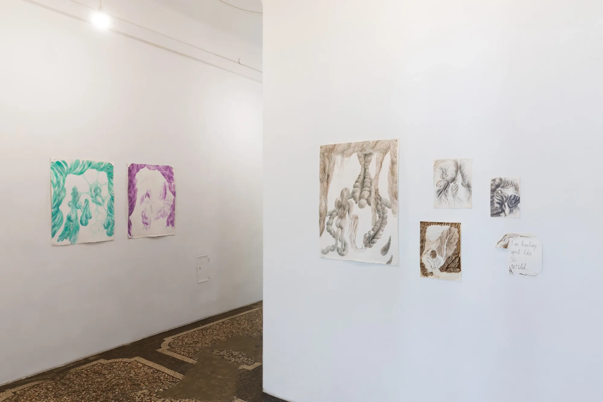 Dominika Trapp, A Parable for Endings and Beginnings, rotor, Graz, 2026, ink and watercolour drawings in gallery corridor