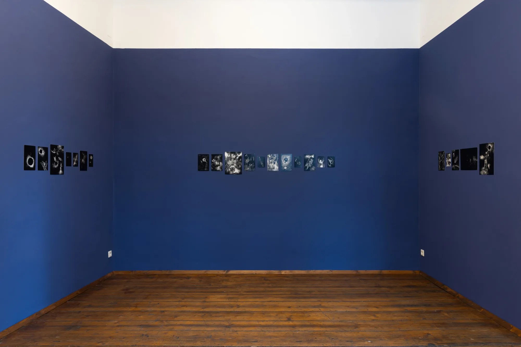 Edda Strobl, A Parable for Endings and Beginnings, rotor, Graz, 2026, small scraperboard drawings on blue gallery walls